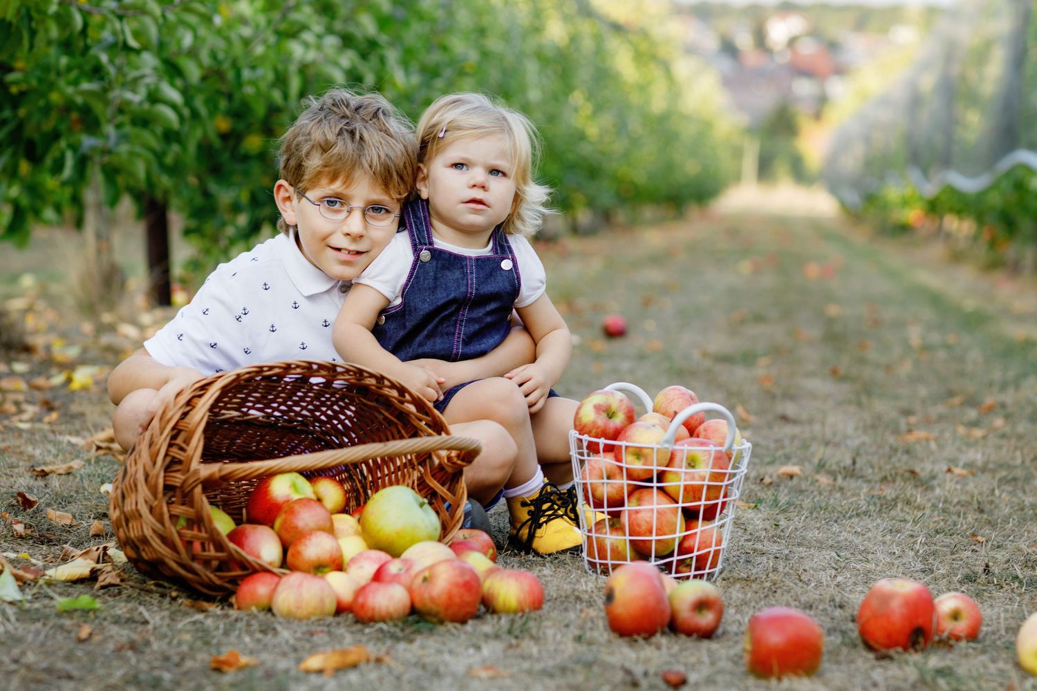 Two children sit among freshly picked apples in baskets at an apple orchard during harvest season.