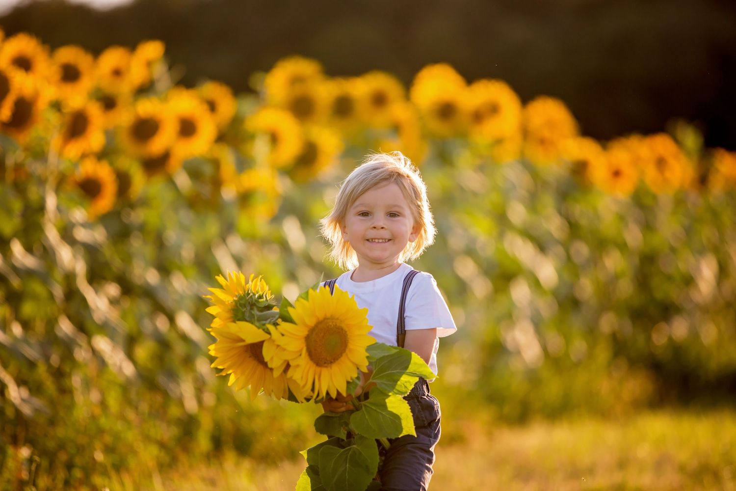 Young child smiling in a sunflower field holding a large bouquet of bright yellow sunflowers on a sunny day.