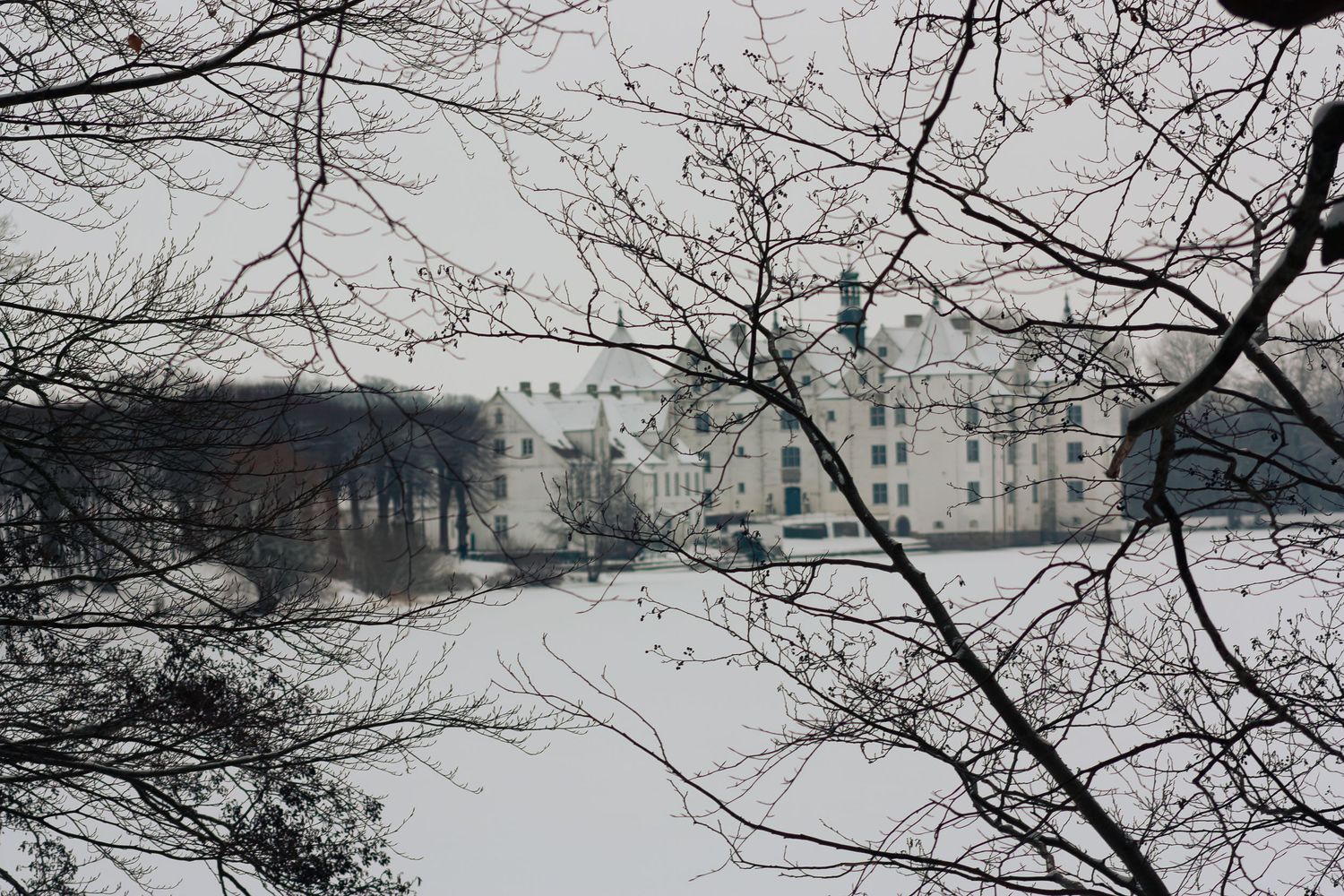 Schloss_Glücksburg_through_Branches.jpg