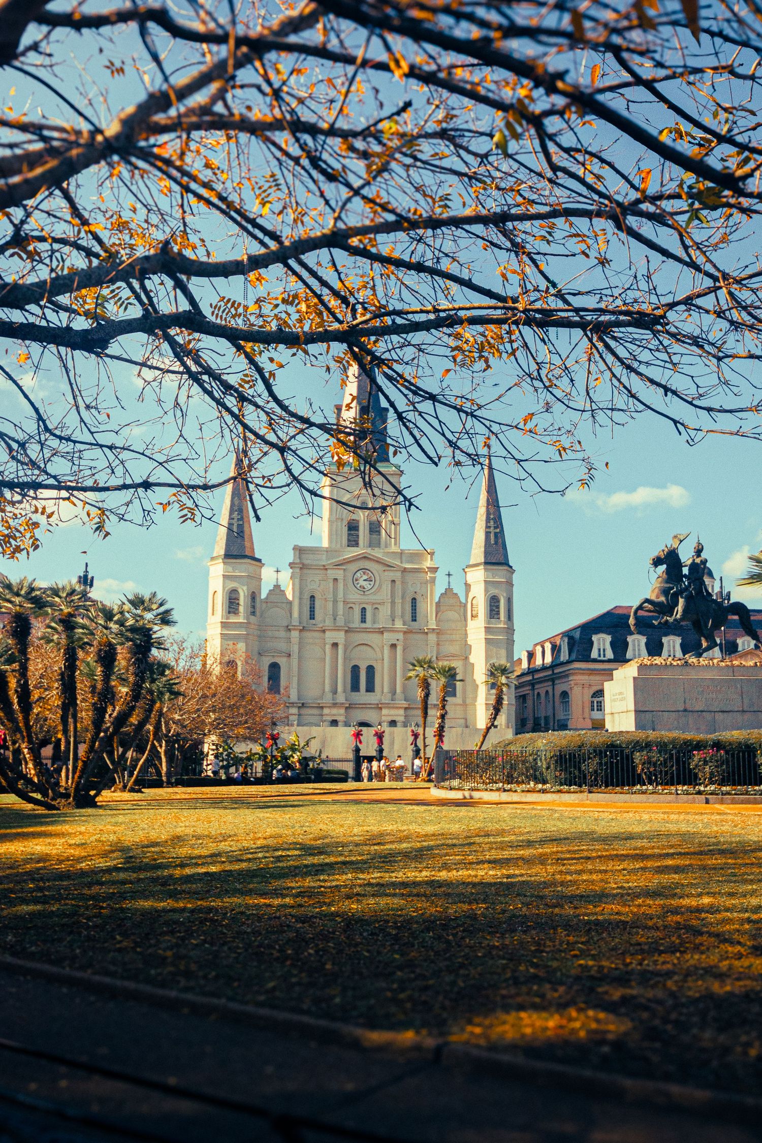 Jackson Square Through the Trees