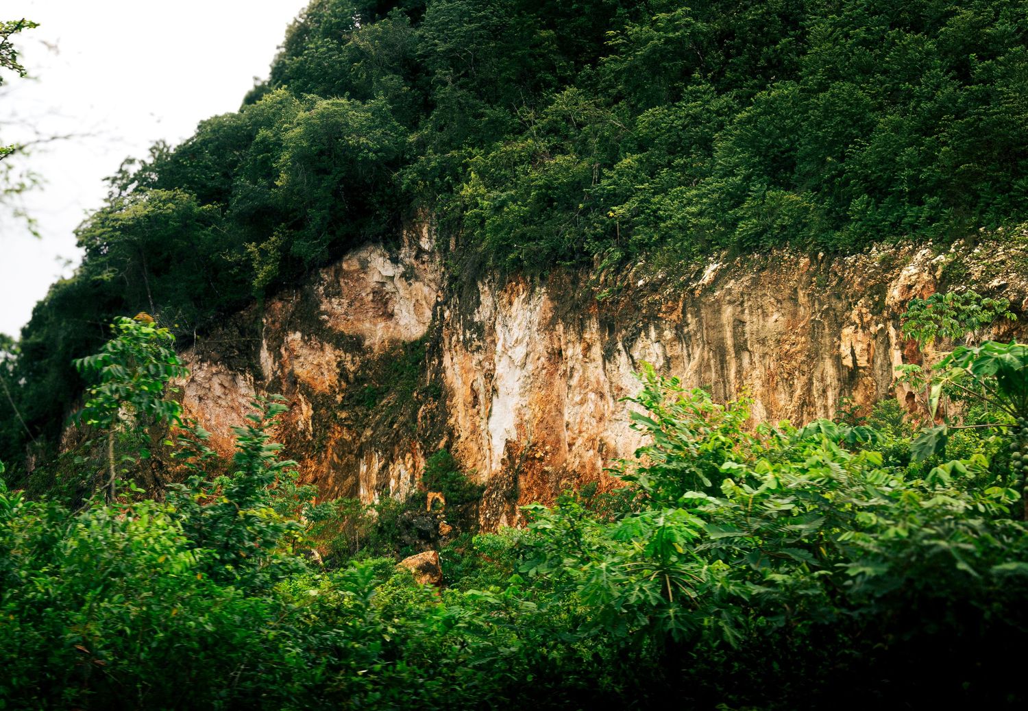 Cliff_Side_Belize.jpg