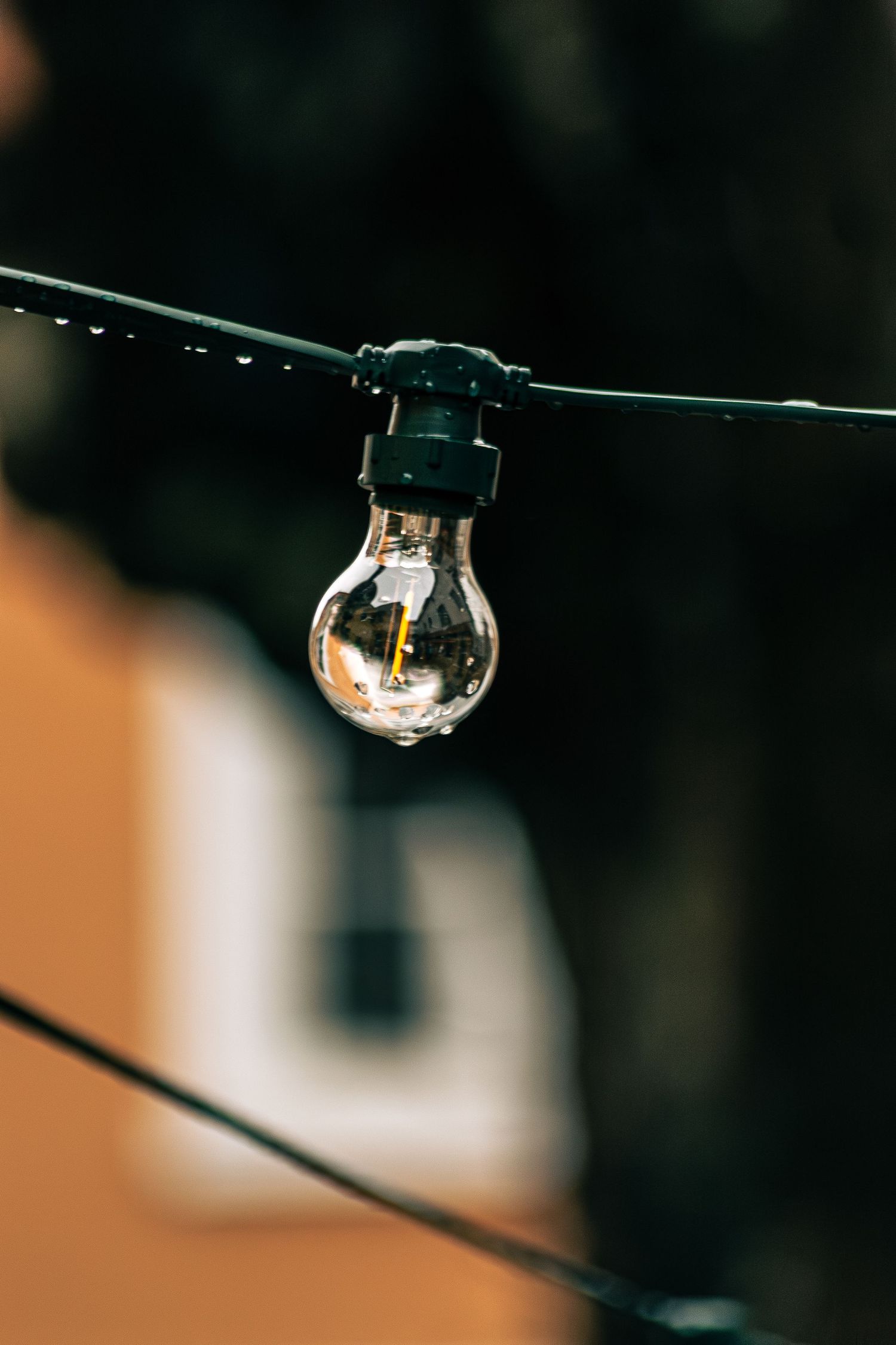 Light_Bulb_on_Wire.jpg