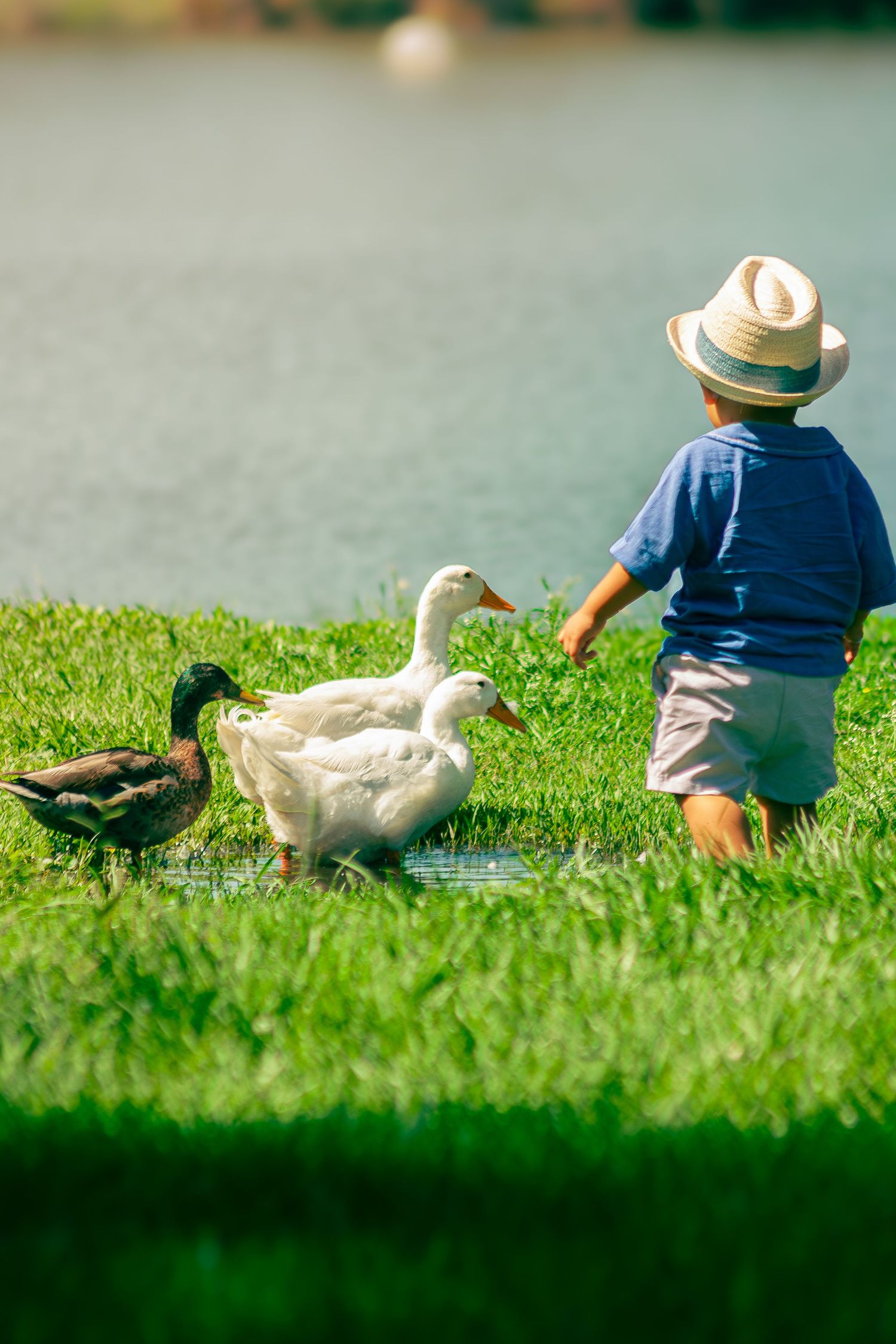 Artistic: Kid With Ducks