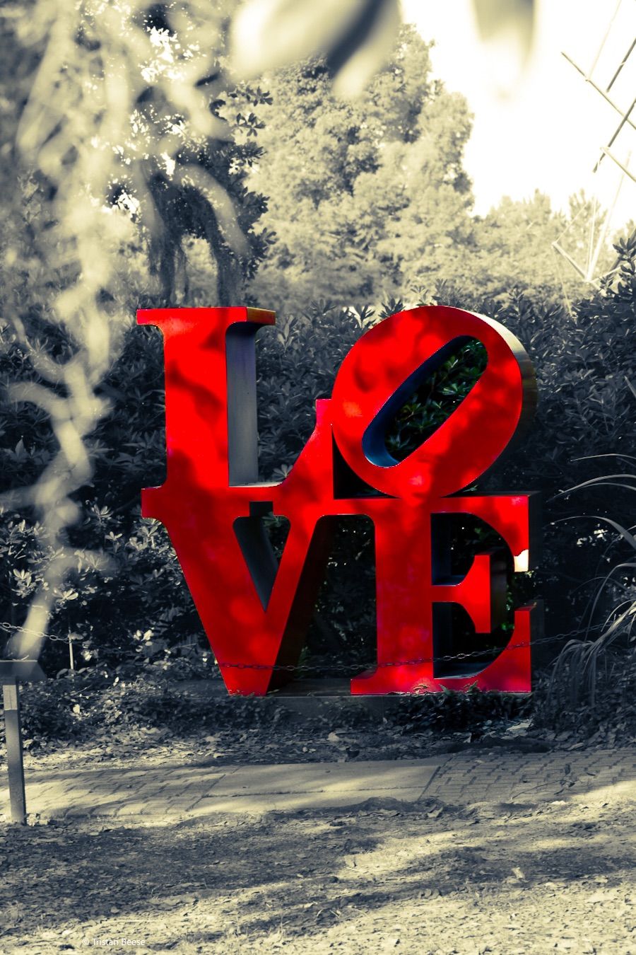 LOVE.jpg