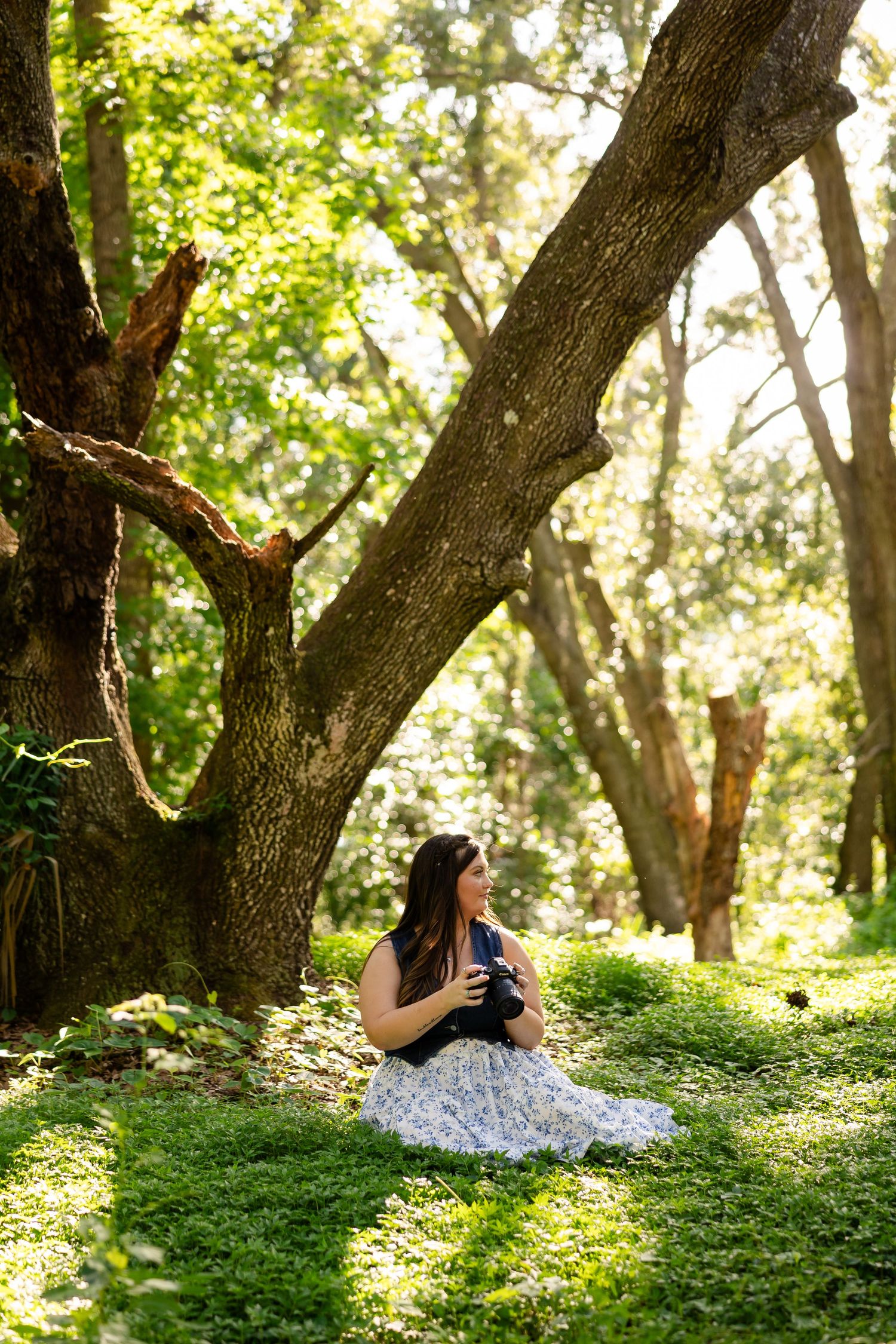 A peaceful woodland scene with someone sitting beneath a large tree while holding a camera in dappled sunlight.