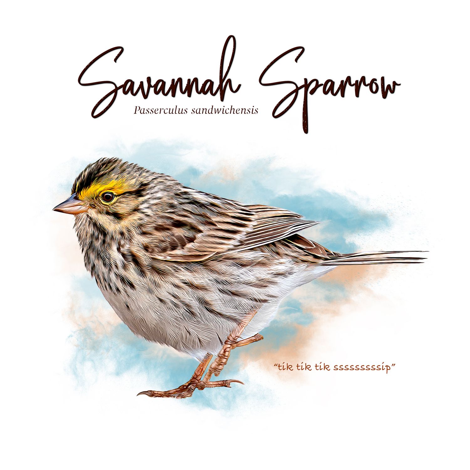 Watercolor illustration of a Savannah Sparrow bird with brown streaked feathers and yellow eyebrows against a blue background.