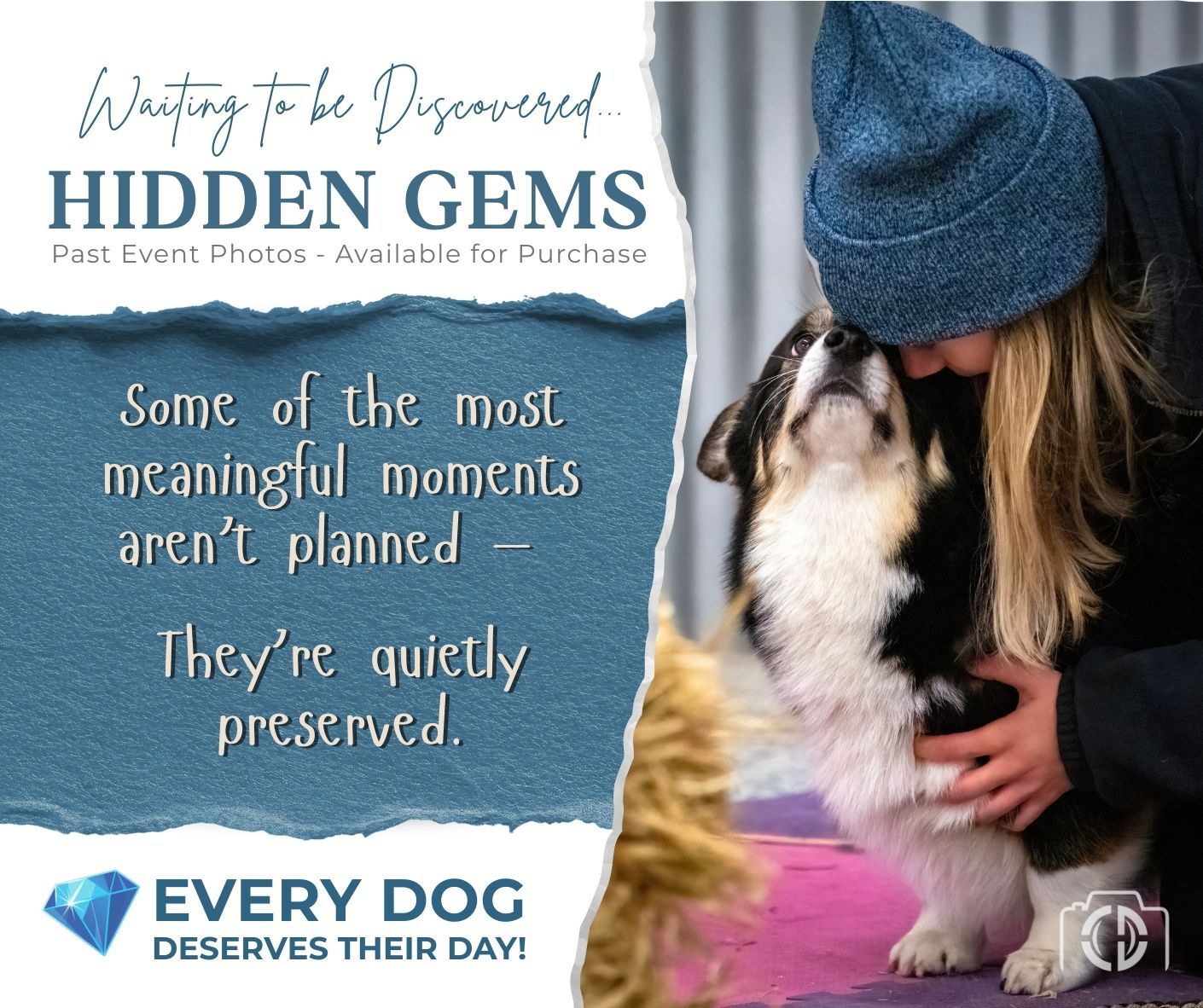 A person in a blue beanie embraces their husky dog while text overlays promote pet photography services.