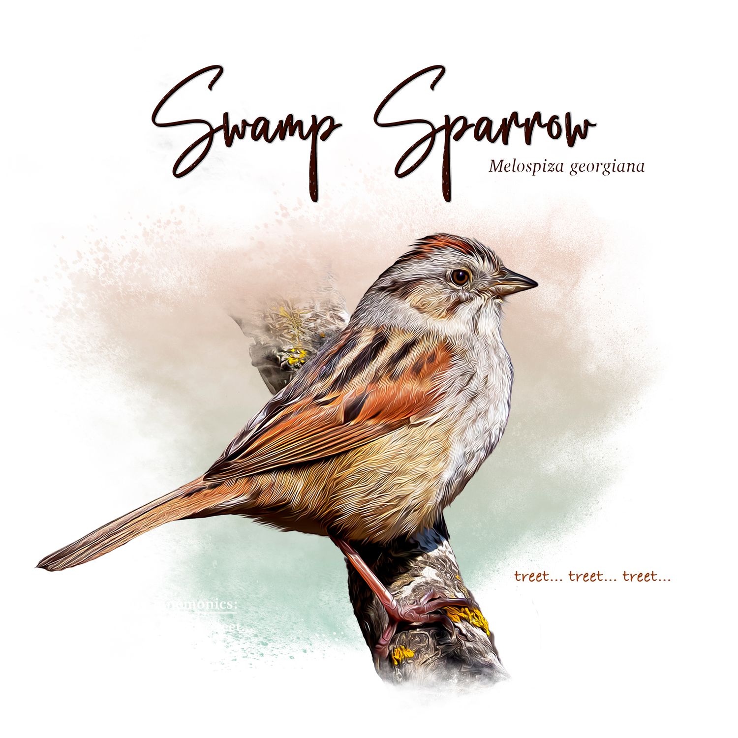 Watercolor illustration of brown swamp sparrow birds perched on branches against muted background.