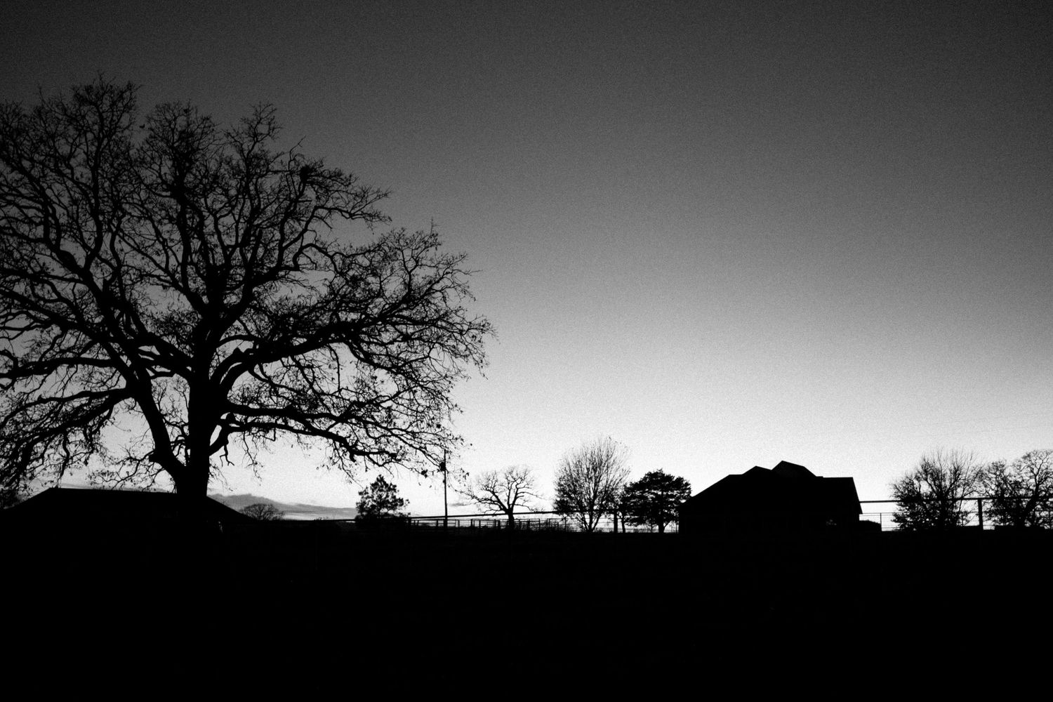 Dramatic black and white silhouette of barren trees against a moody winter sky.