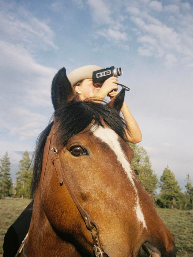Four close-up shots of a brown horse's face with a white stripe marking and bridle against a blue sky and pine trees.