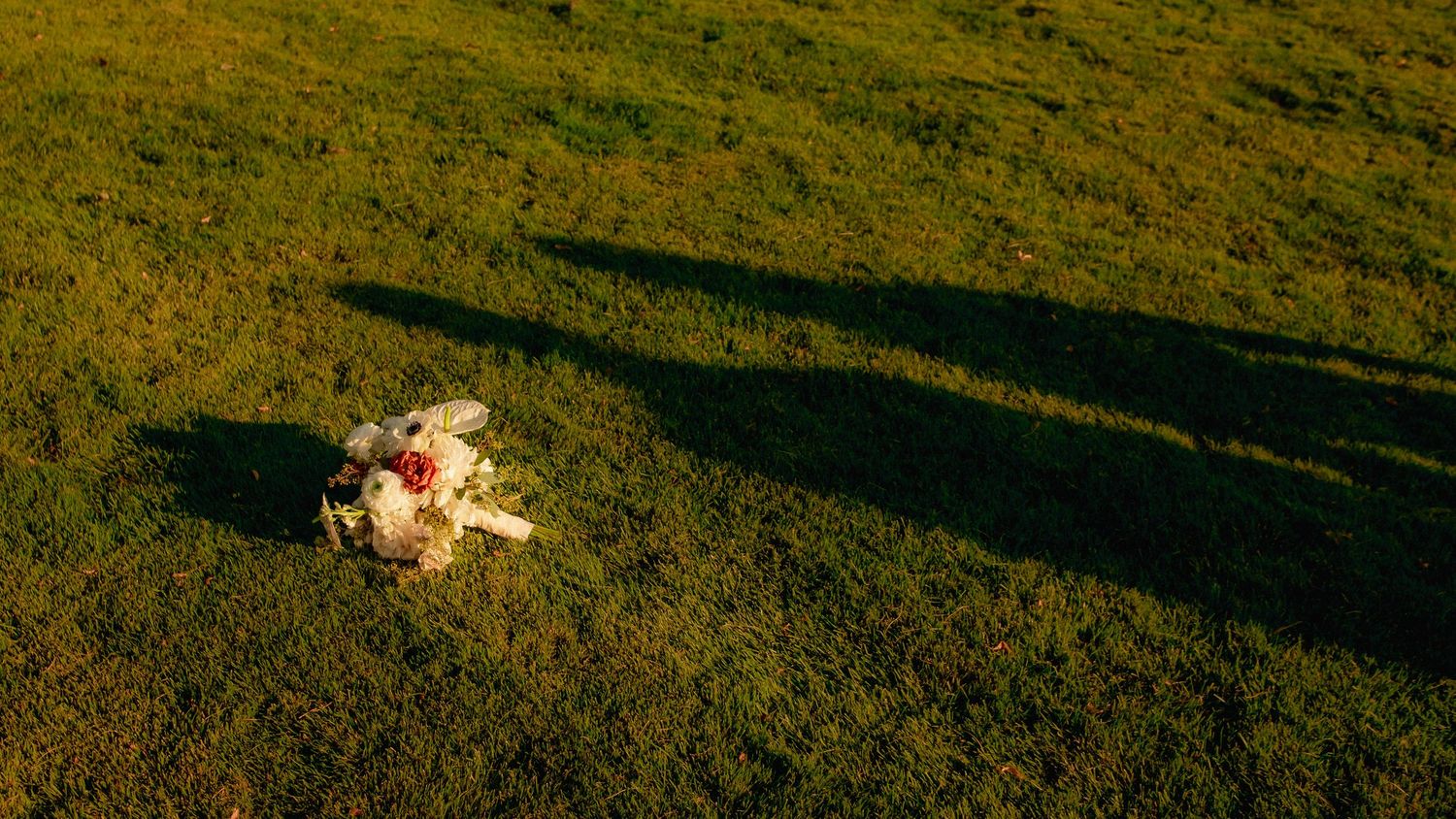 Golden hour wedding photography on a grassy hillside.