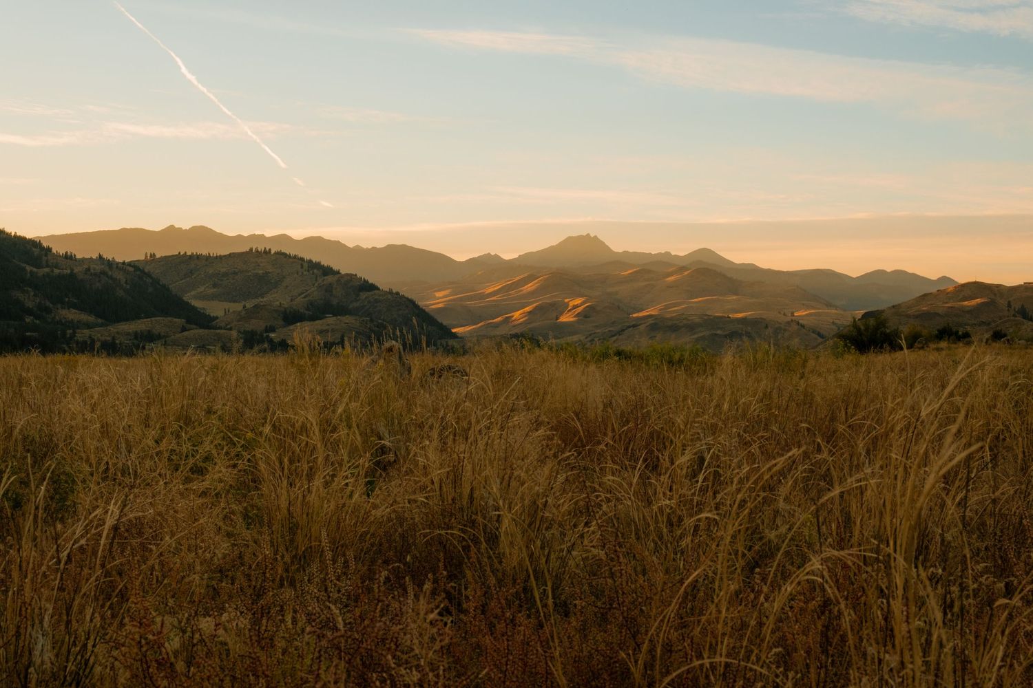 Rolling hills and mountains stretch across a panoramic landscape under soft lighting.