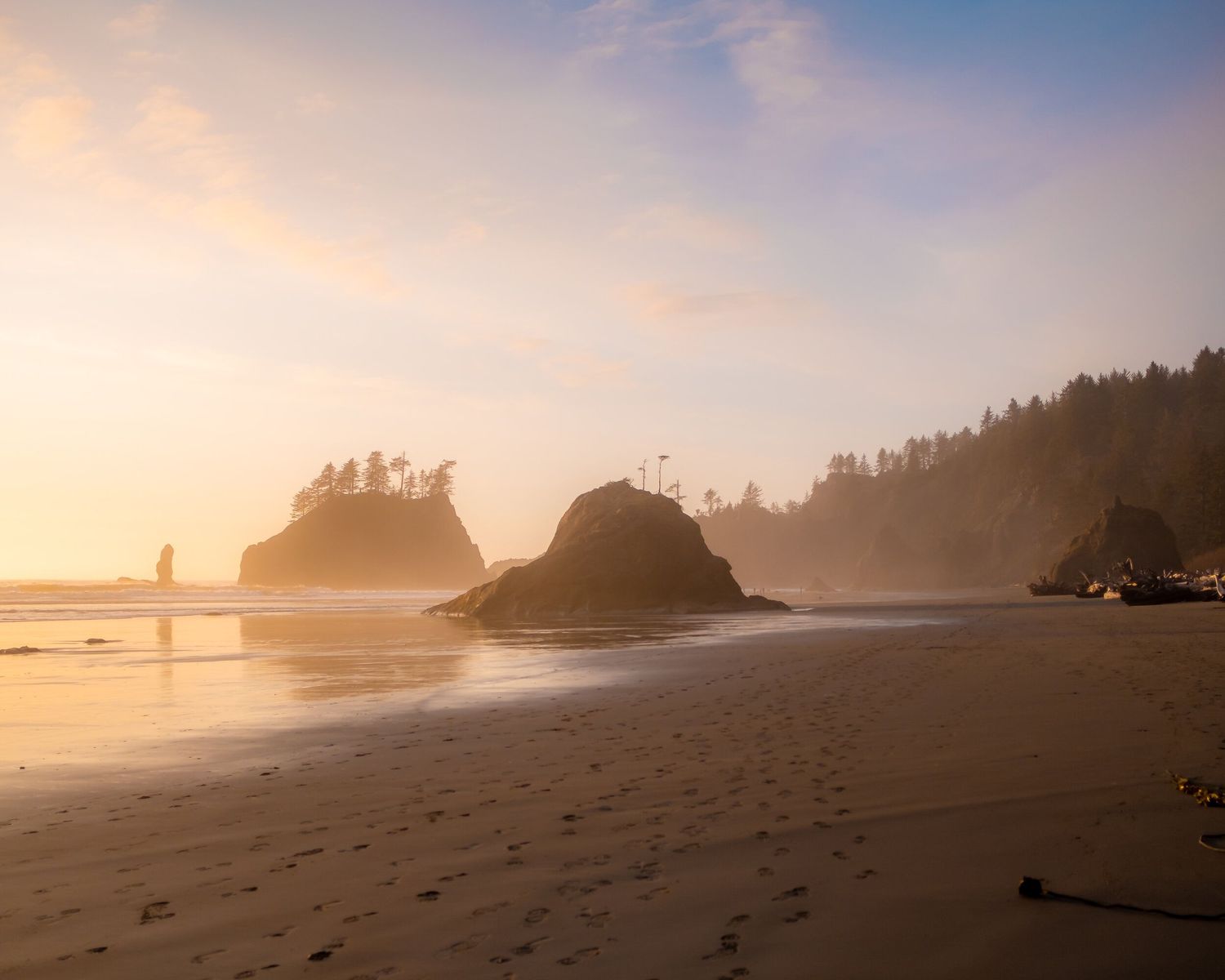 Scenic sunset view of sea stacks and misty coastline at Second Beach in Olympic National Park, Washington.