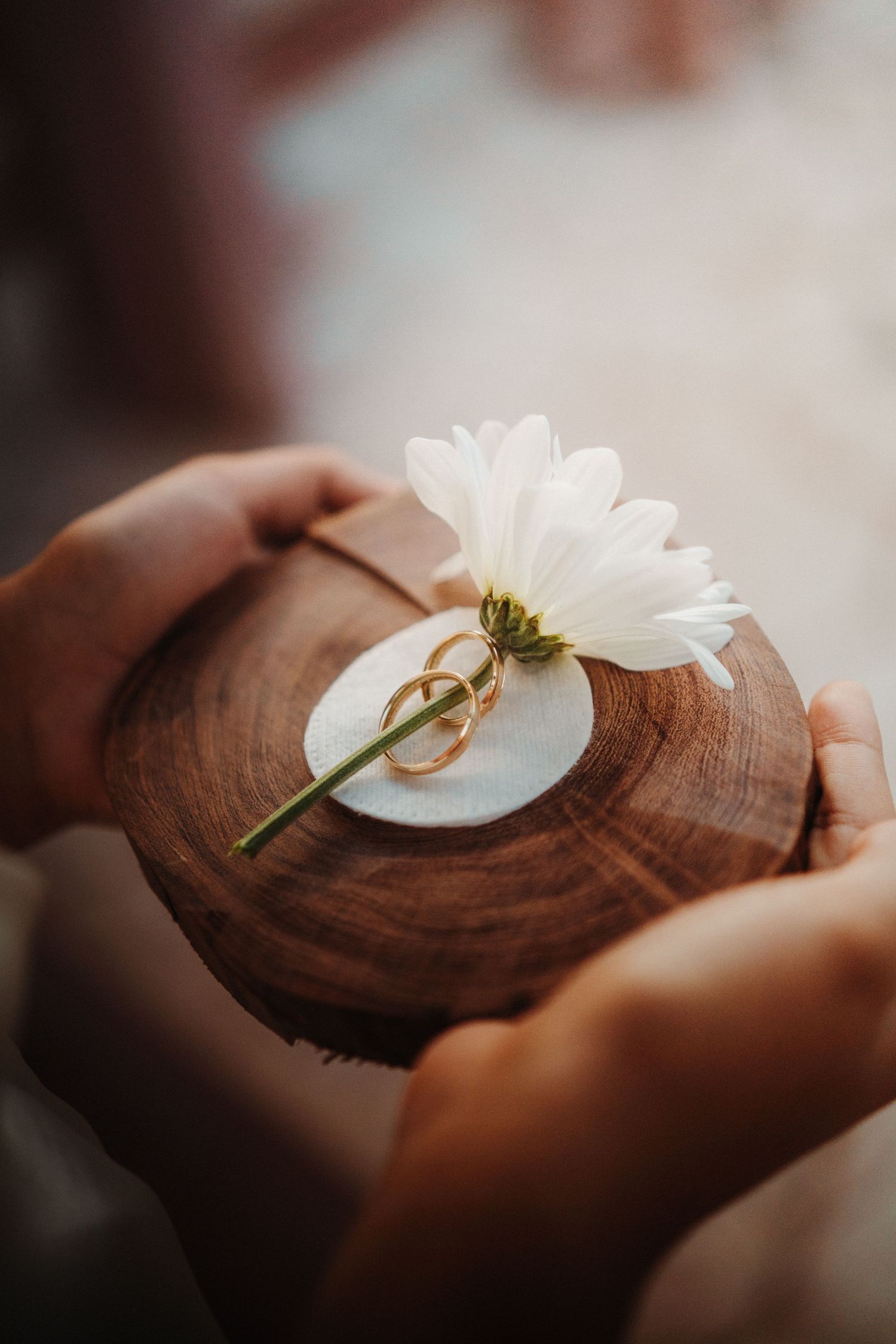 Wedding rings displayed on wooden holder with white daisy flower.