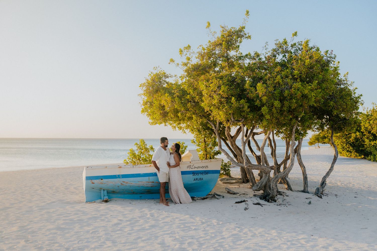 A panoramic view of a tropical beach with green trees and white sand stretching along the coastline.