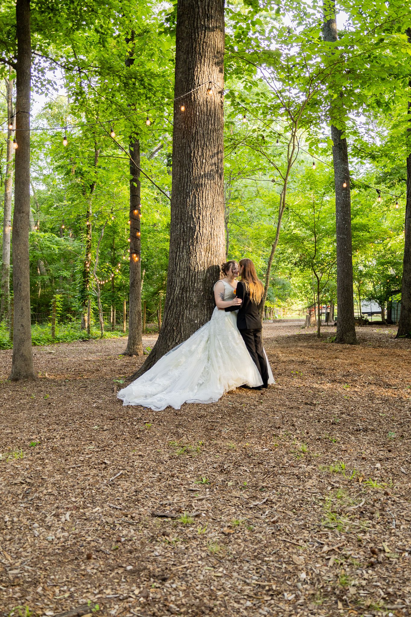 Bride and groom share a romantic kiss leaning against a large tree in a lush green forest wedding venue.