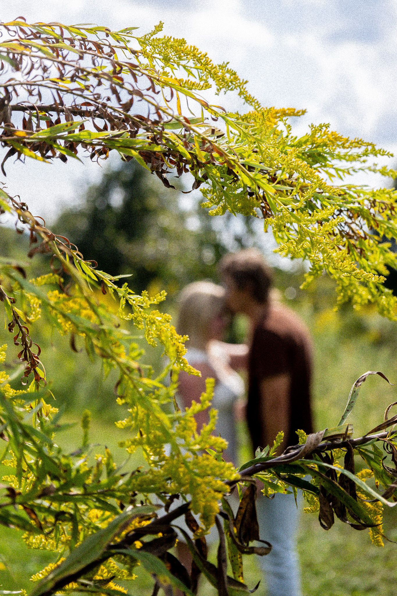 Couple sharing a romantic kiss in a lush green field, framed by vibrant yellow goldenrod wildflowers in the foreground.
