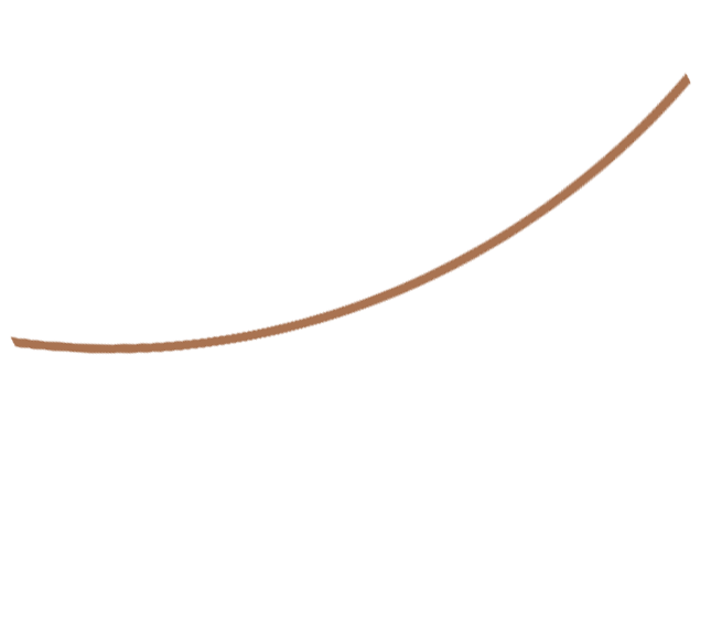 Thin brown decorative curved line with elegant swirls and flourishes.