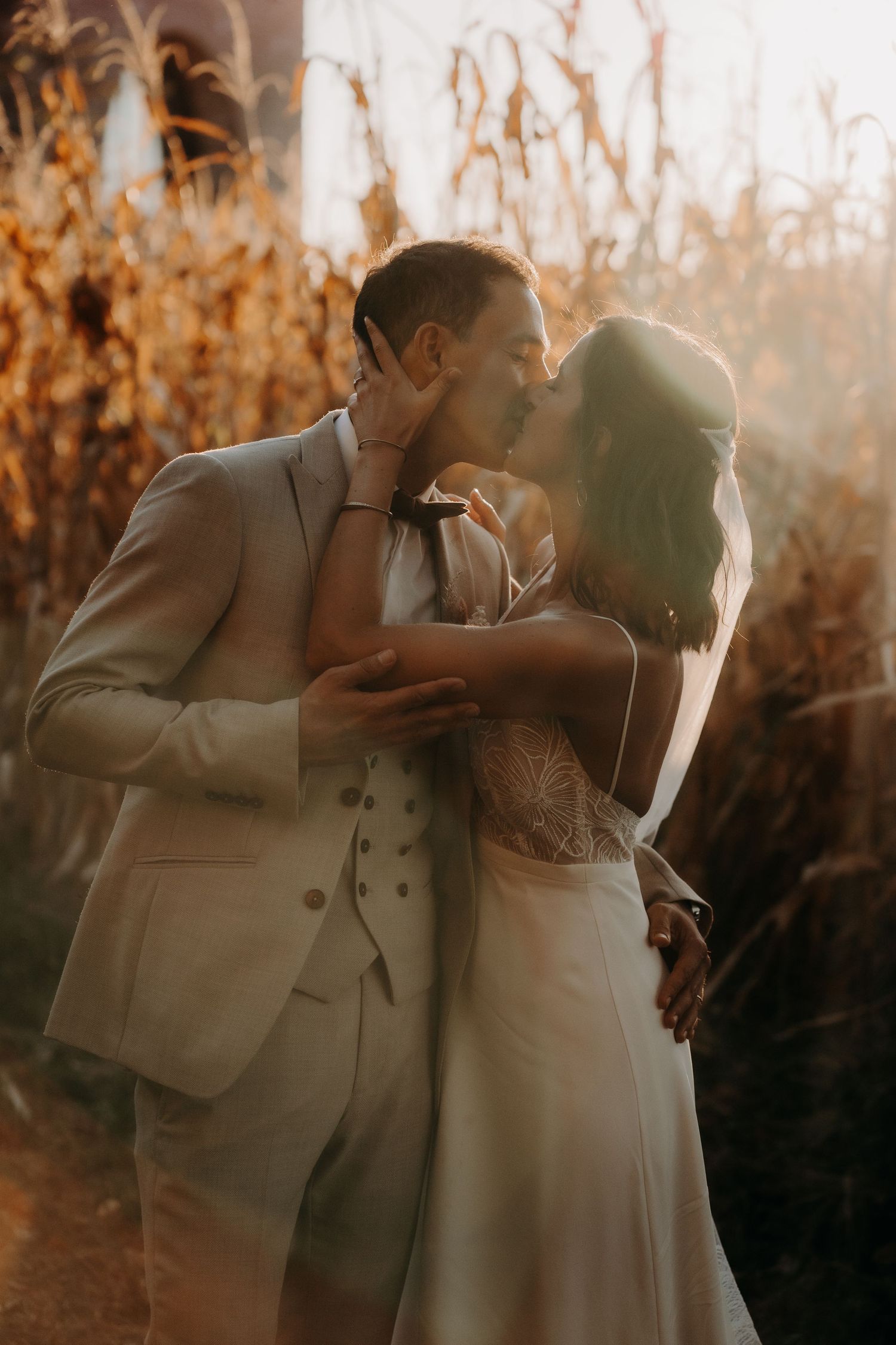 Intimate wedding portrait in golden hour light among tall autumn grasses.