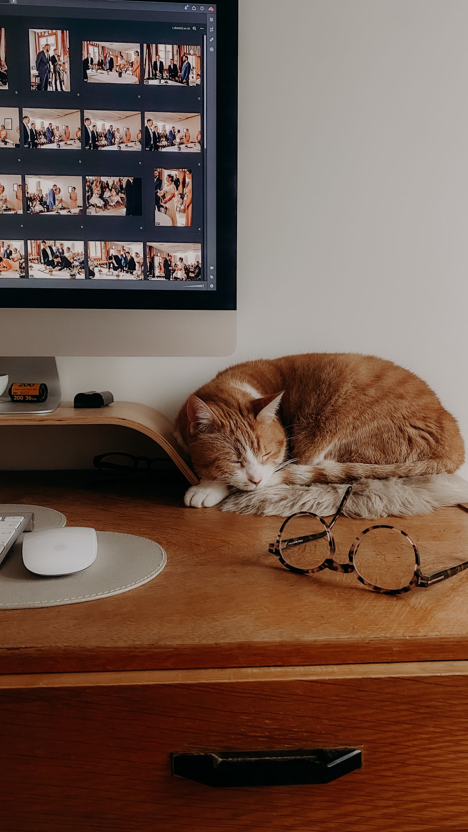 Orange cat napping on desk beside eyeglasses with photo thumbnails displayed on monitor.