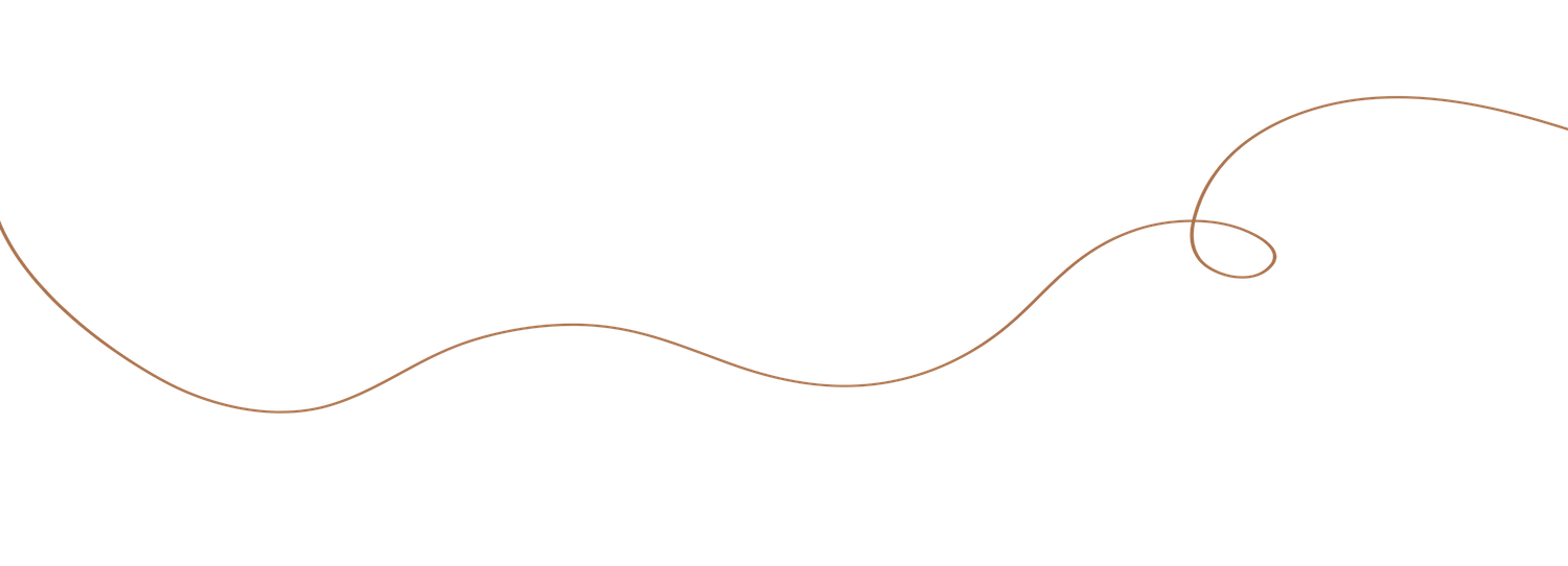 Graceful brown curved line creating a subtle decorative element.