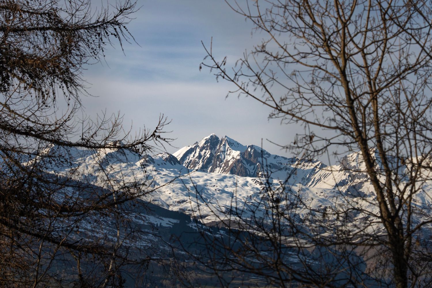 Landscape