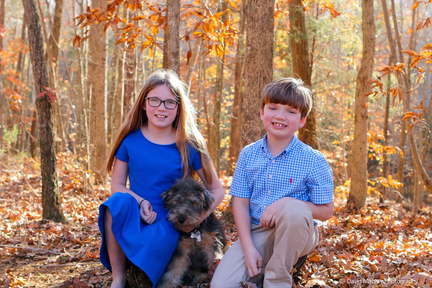 Two happy children sitting with their dog among autumn leaves in forest.