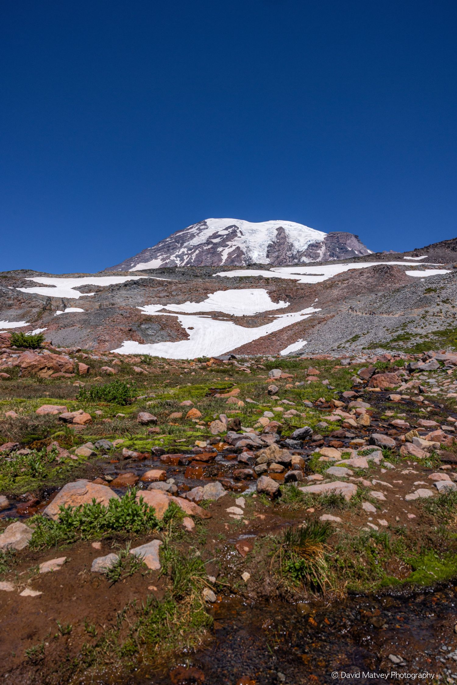 Snow-capped Mount Rainier rises above a rocky alpine meadow with small stream and wildflowers under vivid blue sky.