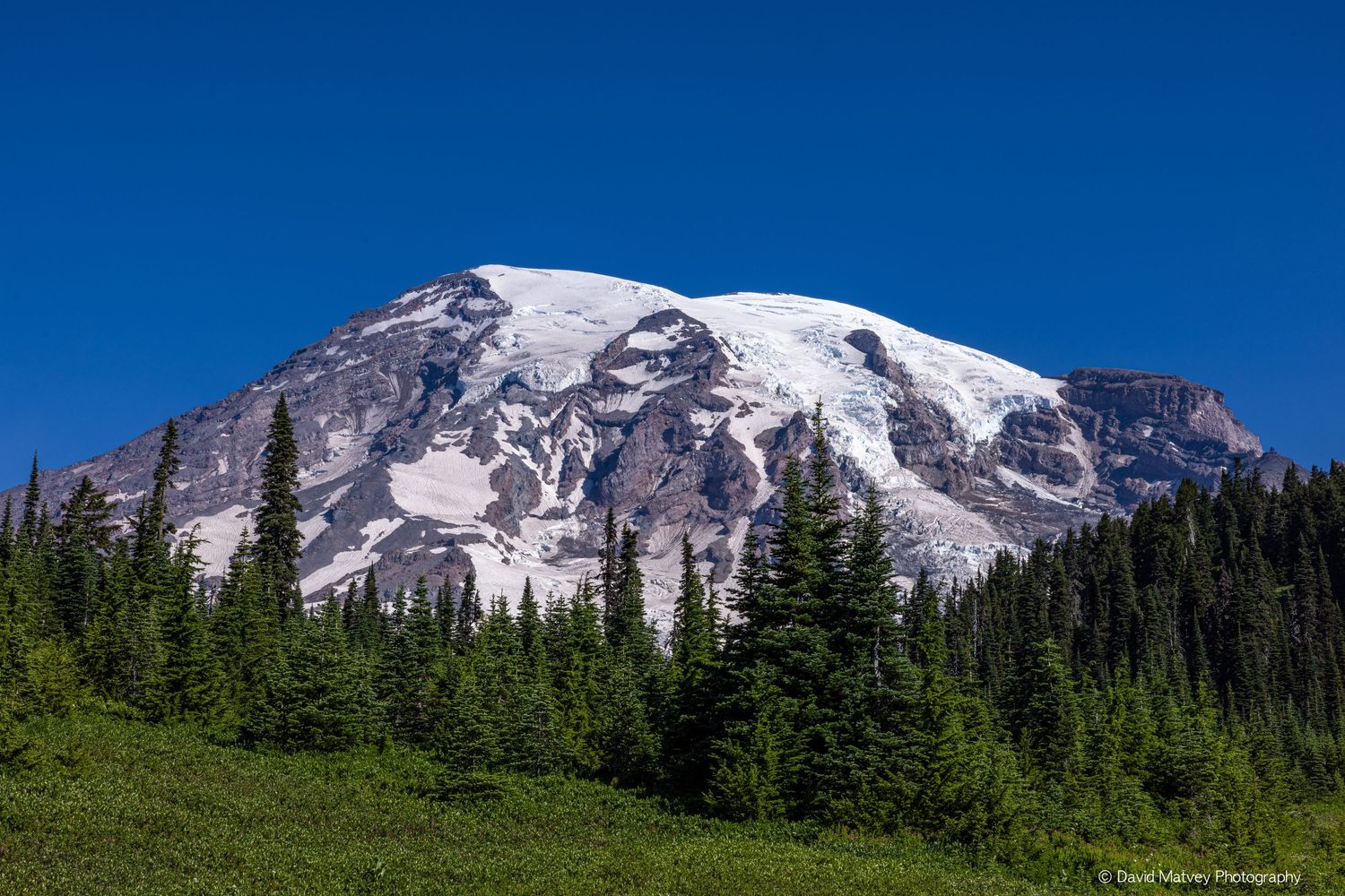 Snow-capped Mount Rainier rising above green alpine meadows and evergreen forest under clear blue sky.