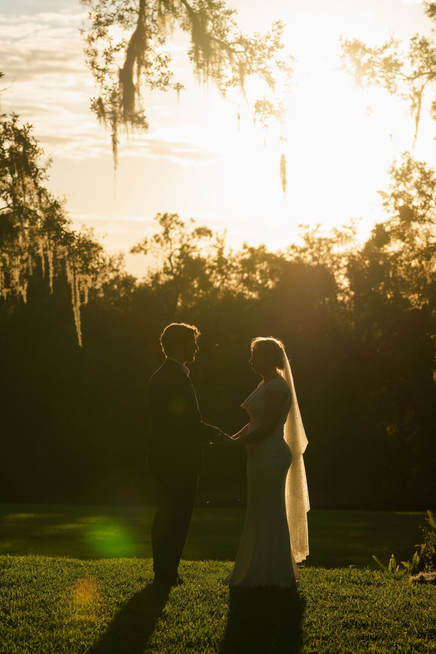 Silhouette of bride and groom holding hands at golden sunset in a tree-lined outdoor setting.