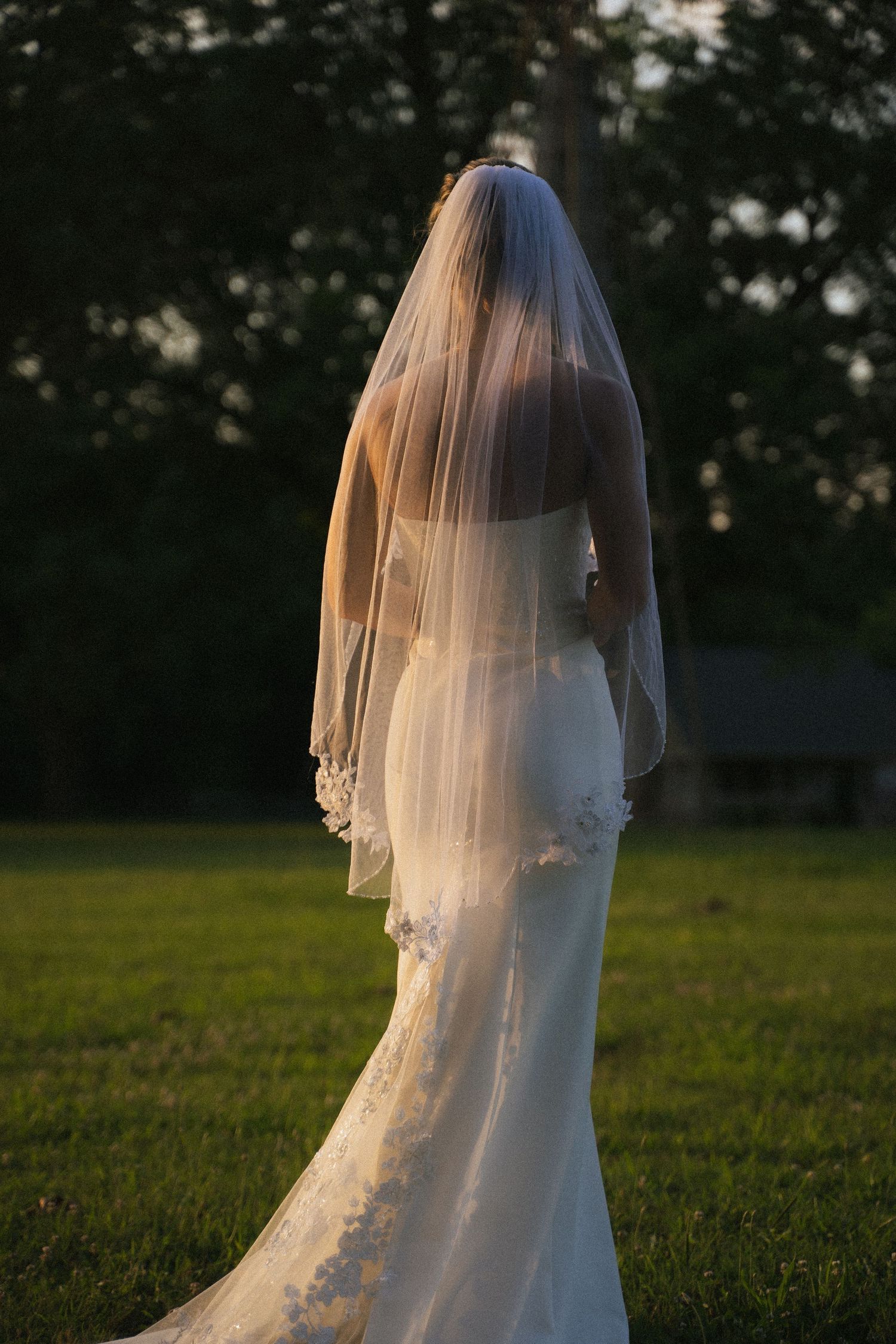 Bride in fitted lace wedding gown with veil walking through golden hour field.