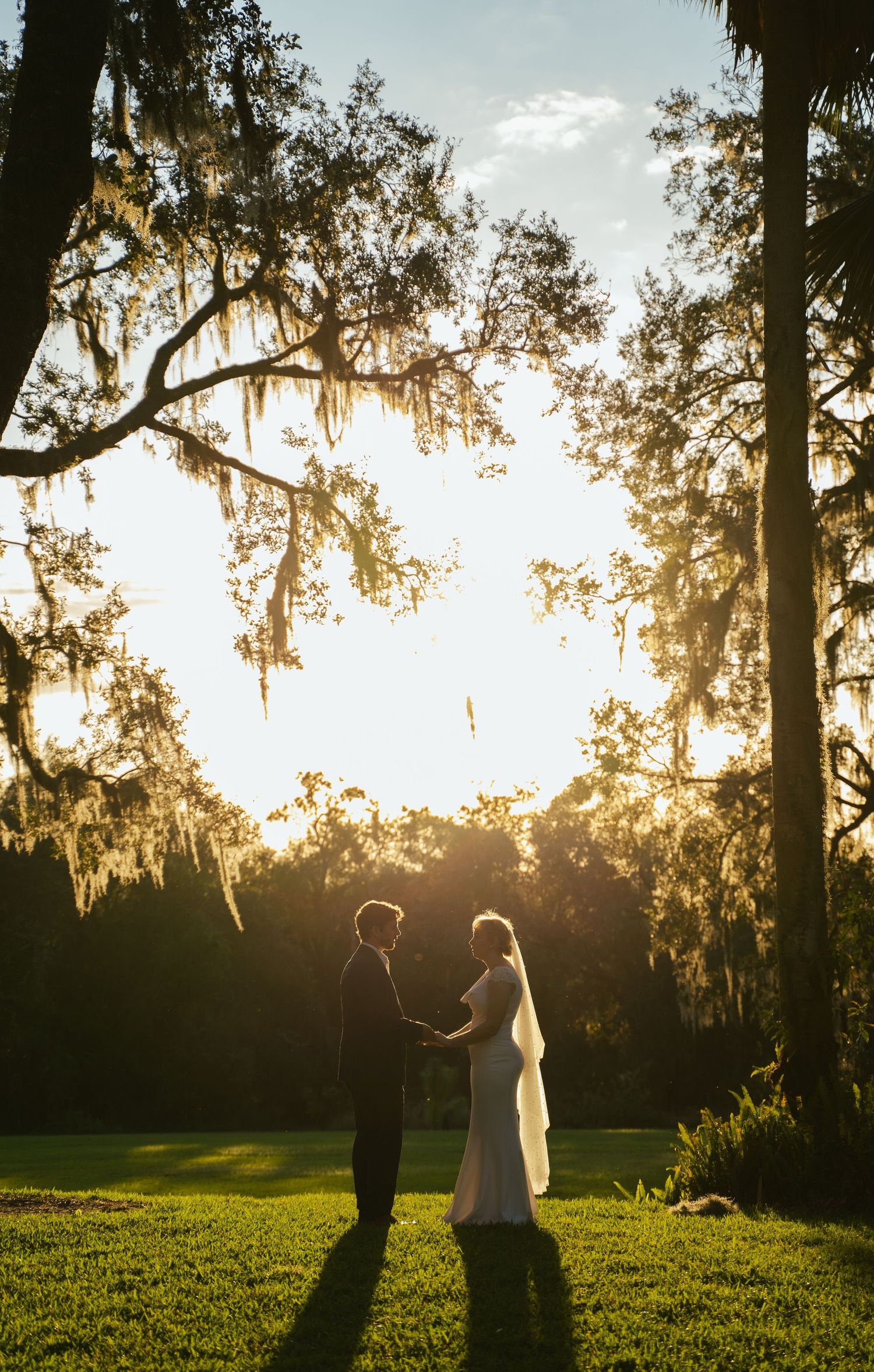 Bride and groom holding hands at sunset under Spanish moss-draped trees with golden backlight.