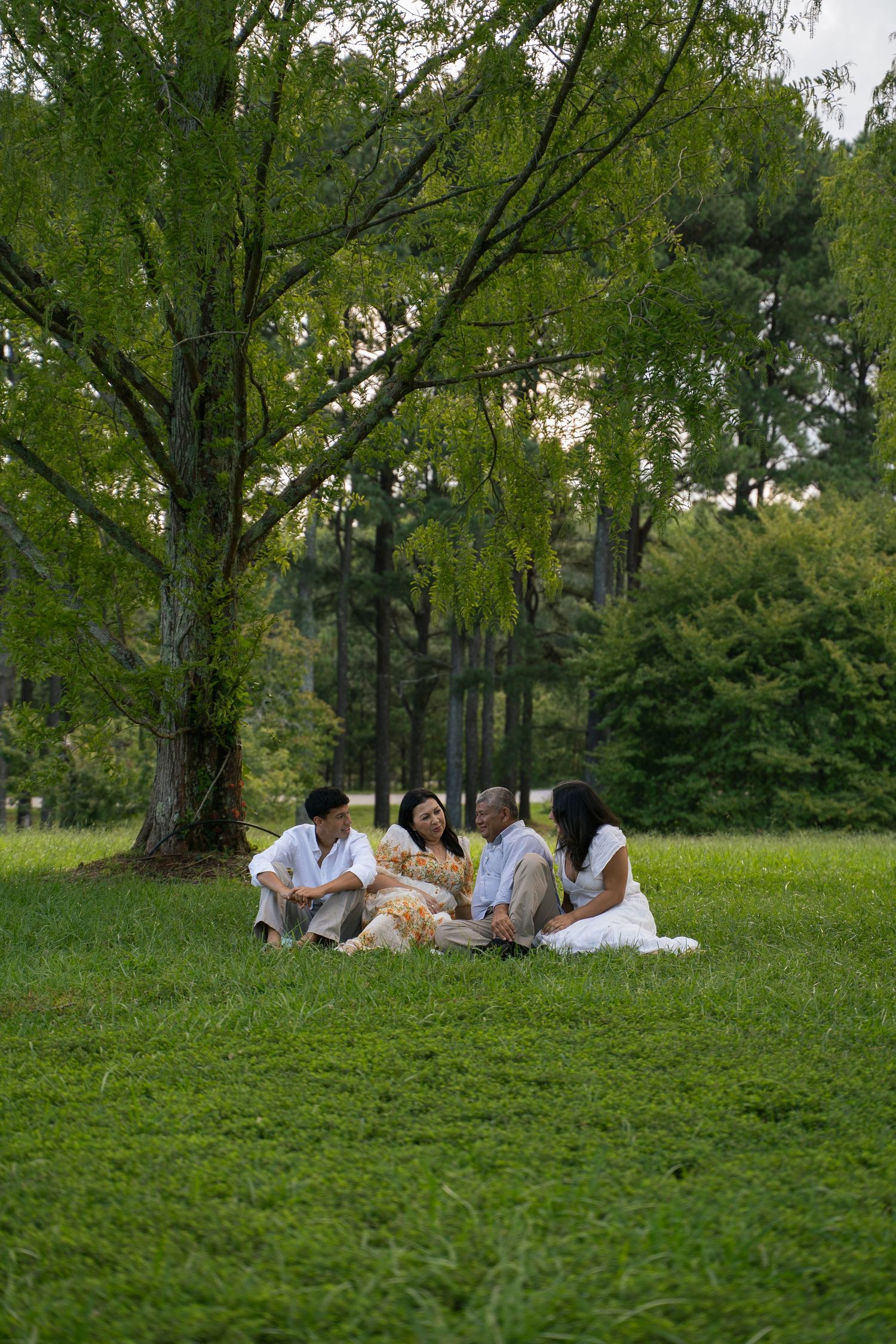 A family of four sits together on green grass under a large tree in a serene park at dusk.