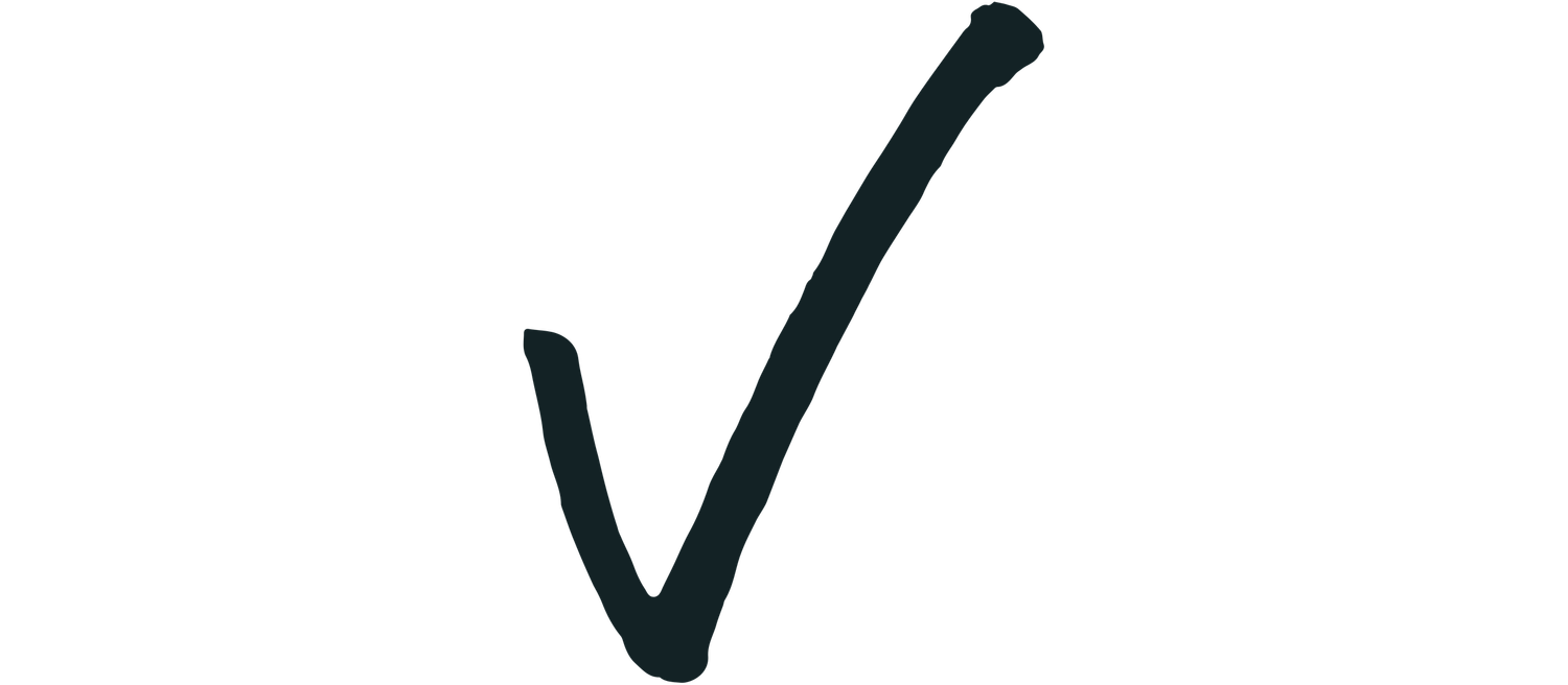 checkmark symbol