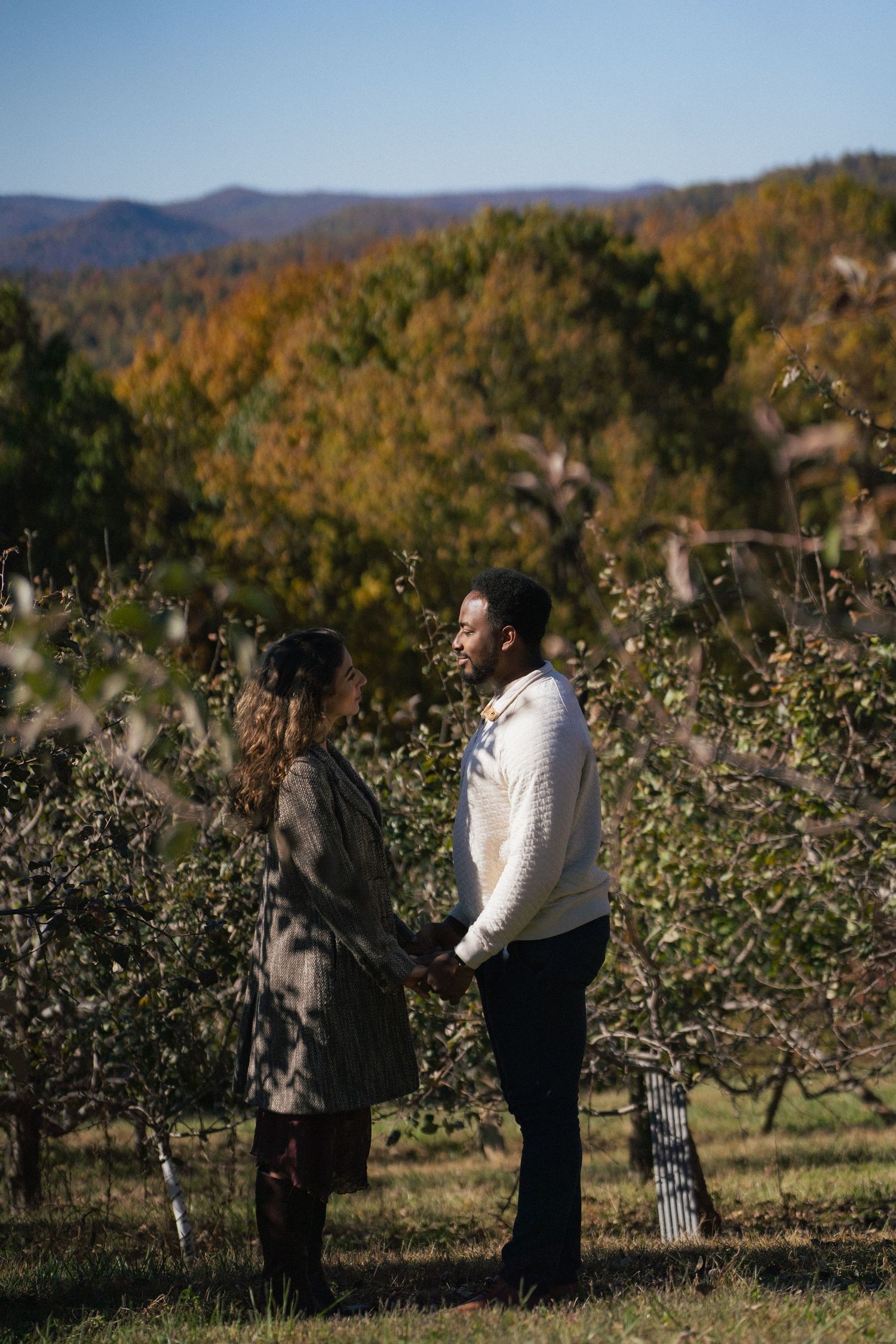 Couple holds hands in an autumn apple orchard with colorful fall foliage and blue mountain views.