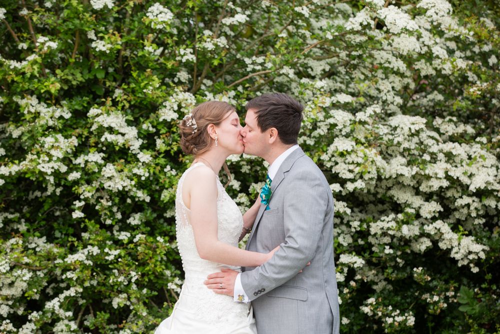 Wedding couple shares a kiss in front of lush white flowering bushes in a garden setting.