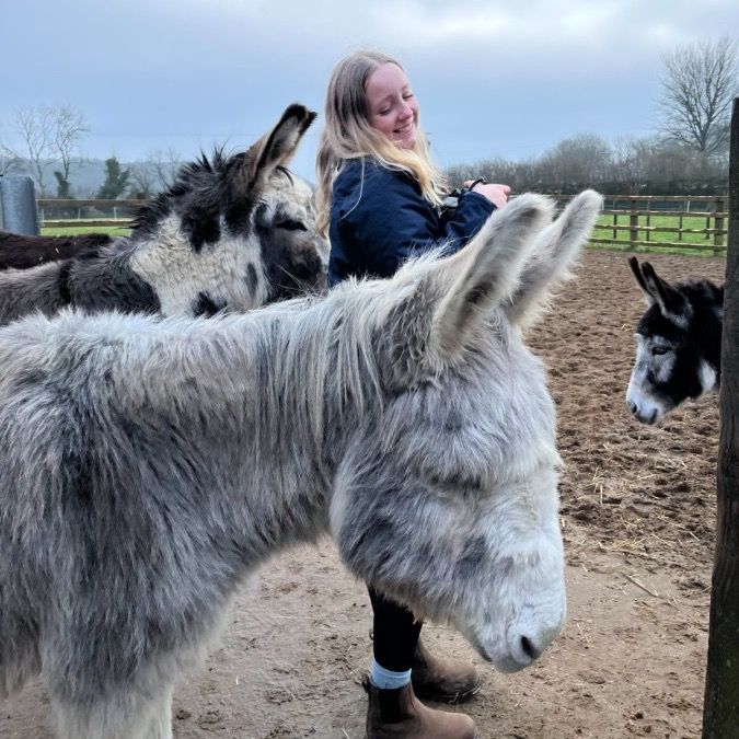 Young woman smiling while petting gray donkeys in a farm enclosure on a cloudy day.