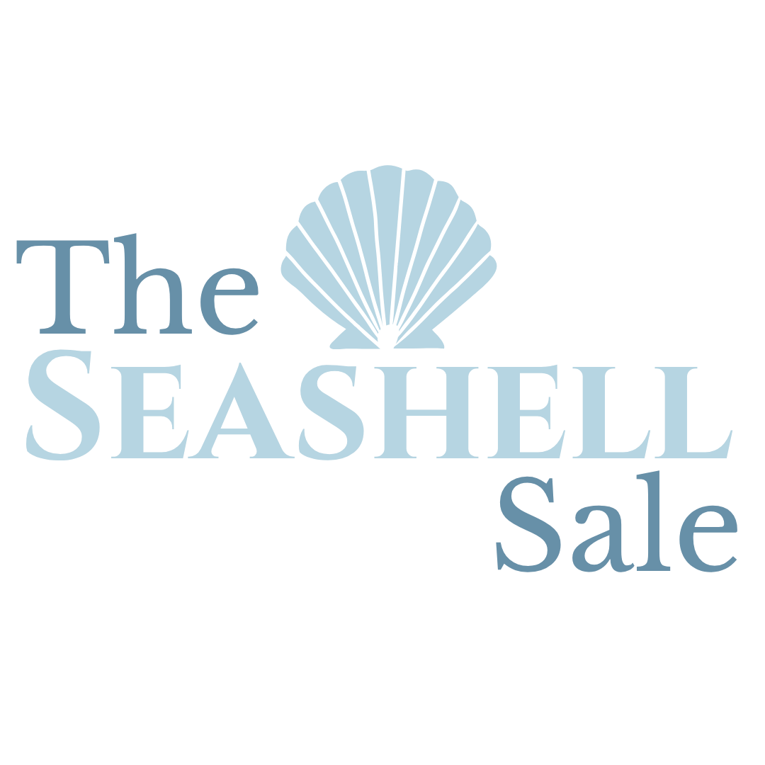 Elegant Seashell Sale logo with a pale blue fan shell icon and two-tone blue text on white background.