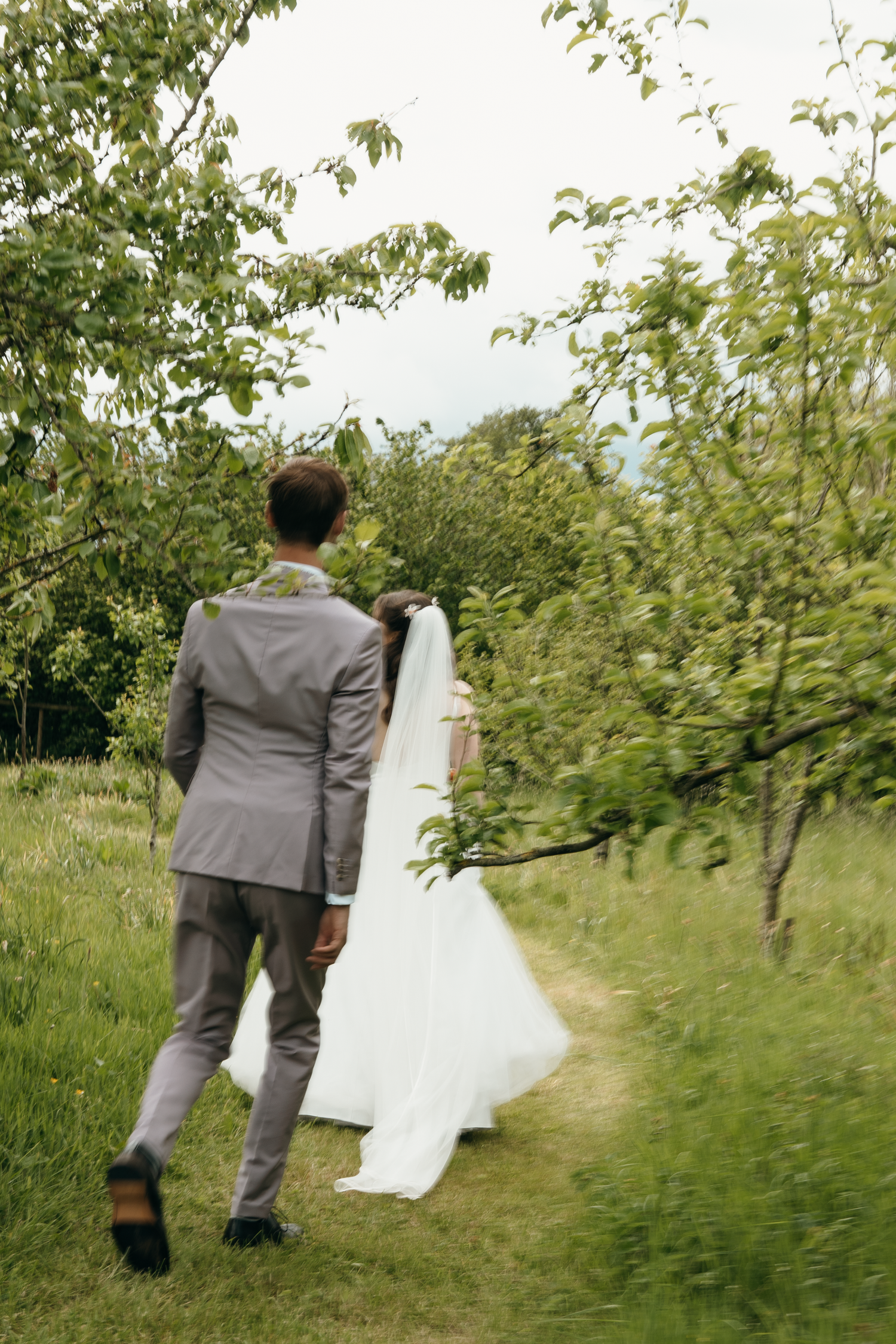 A bride and groom walk hand in hand through a lush green orchard path, viewed from behind on their wedding day.