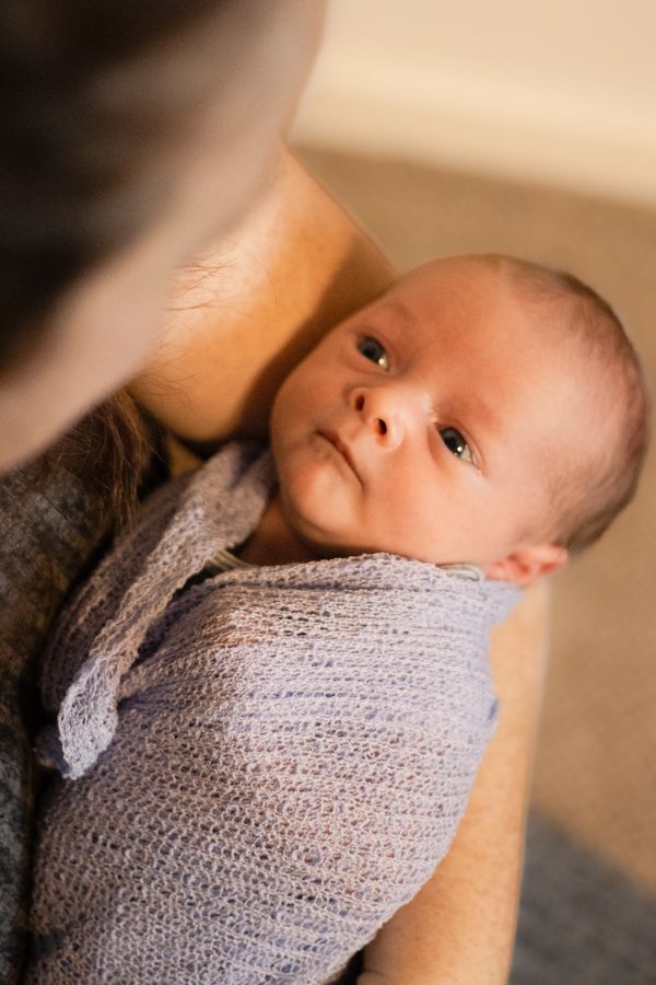 A newborn baby wrapped in a soft purple knit blanket being cradled in a parent's arms.