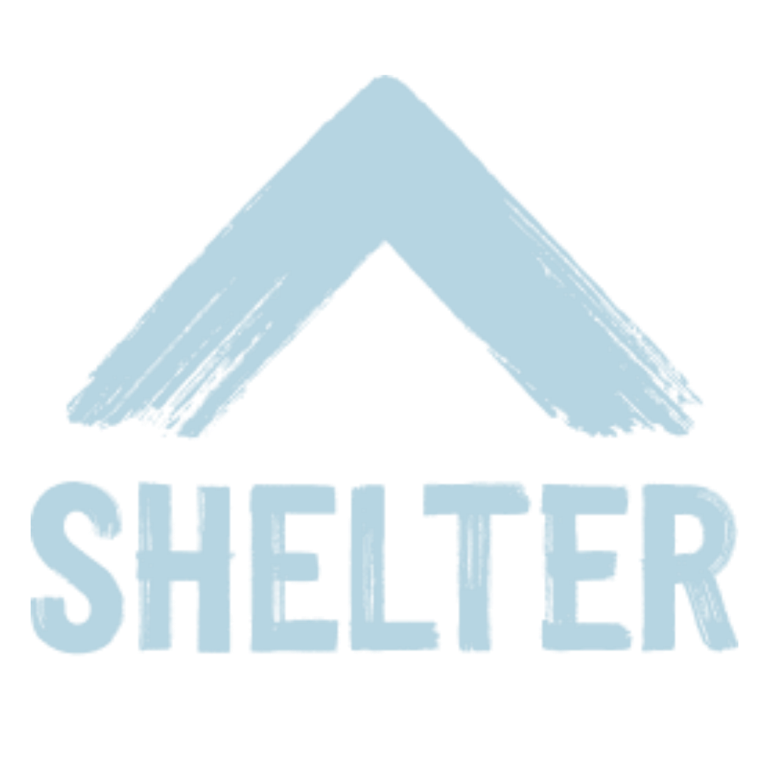 Shelter charity logo with brushstroke roof icon above bold text in light blue.