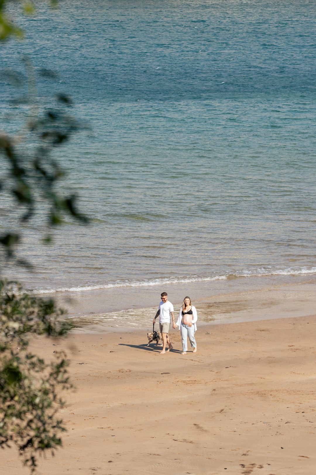 Pregnant couple walking hand in hand with dog along turquoise shoreline beach.