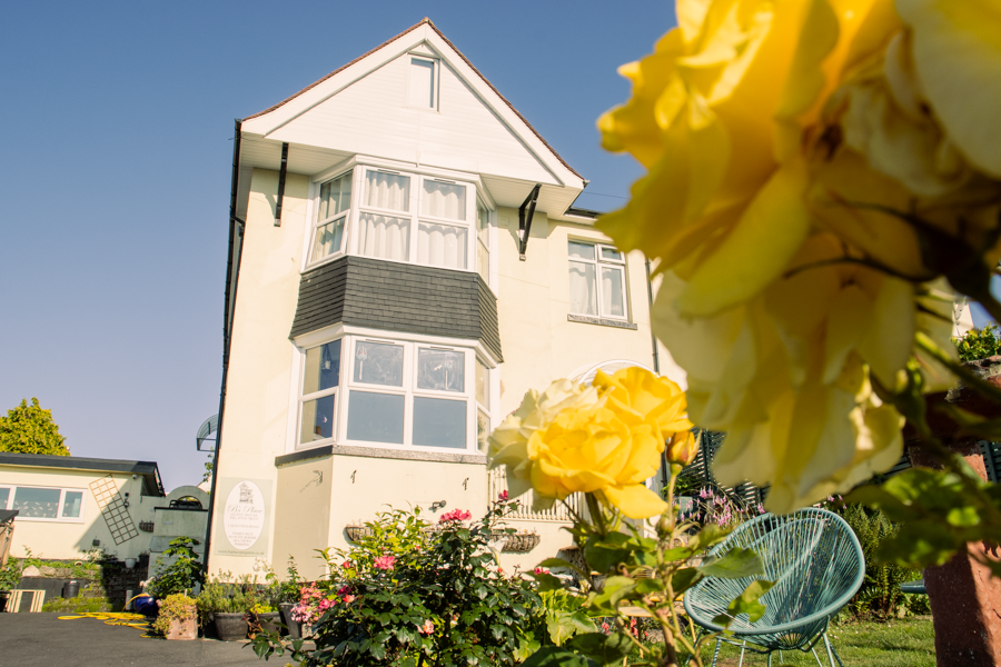 Cream semi-detached house with bay windows surrounded by vibrant yellow roses in full bloom under a clear blue sky.