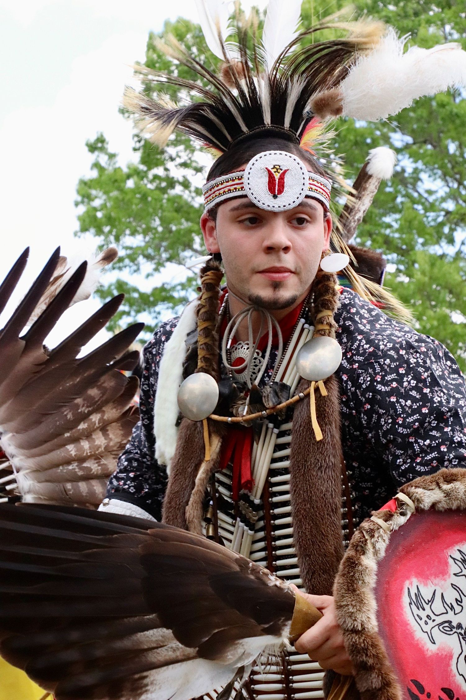 Native American dancer in traditional regalia with feather headdress and drum at a cultural powwow.