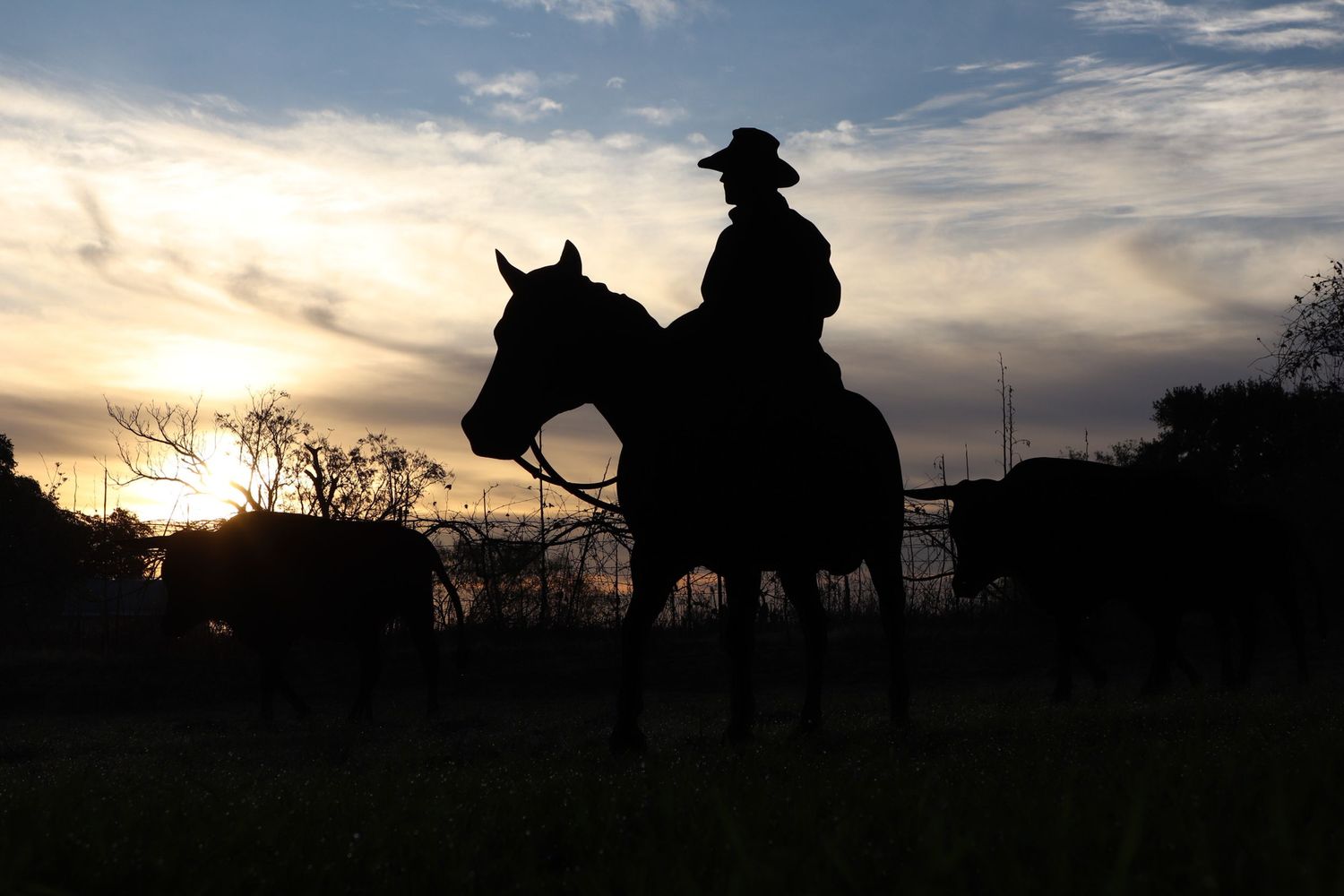 Silhouettes of cowboys and horses against a dramatic sunset sky create a western scene at a rodeo arena.