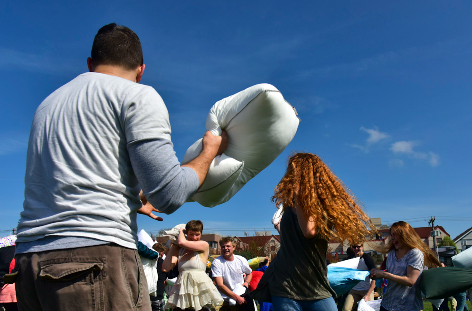 2015 - Seattle Pillow Fight in Volunteer Park