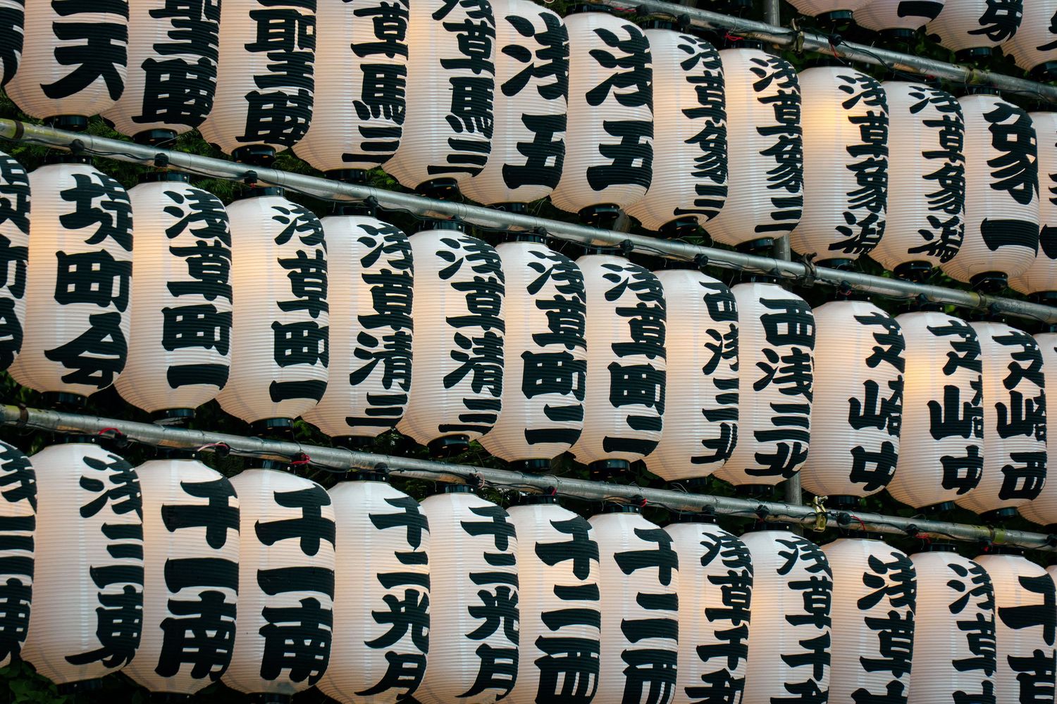 A close-up view of traditional Japanese lanterns with calligraphic designs, creating a visually striking and culturally significant display.