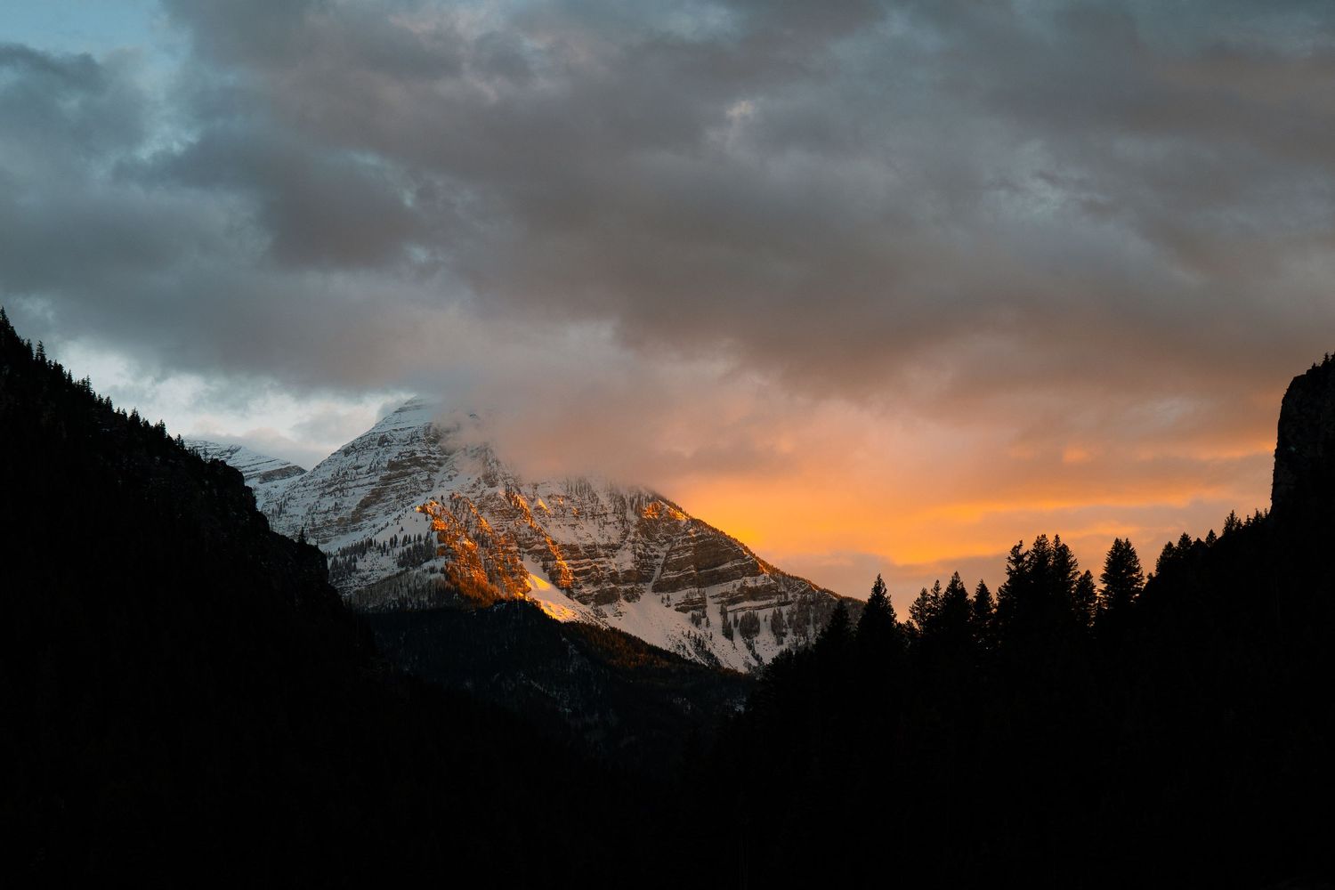 Snow-capped mountain glows orange at sunset beneath dramatic cloudy sky with silhouetted pine trees.