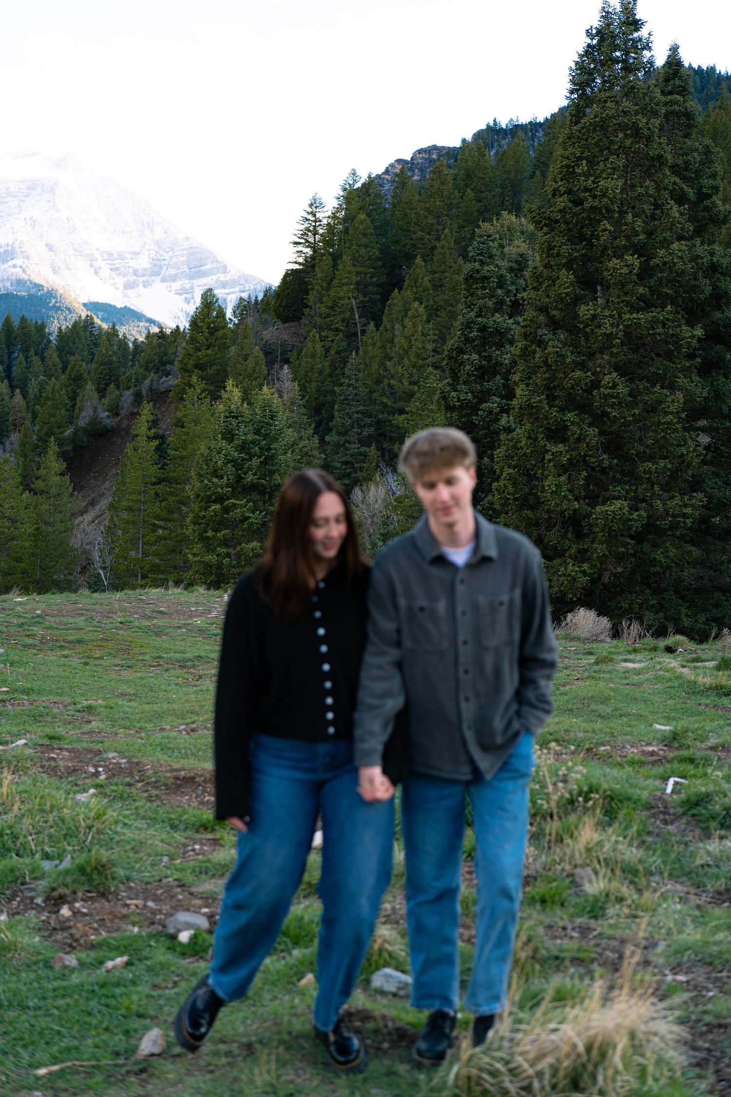 Young couple holding hands while walking in a mountain meadow surrounded by evergreen trees.