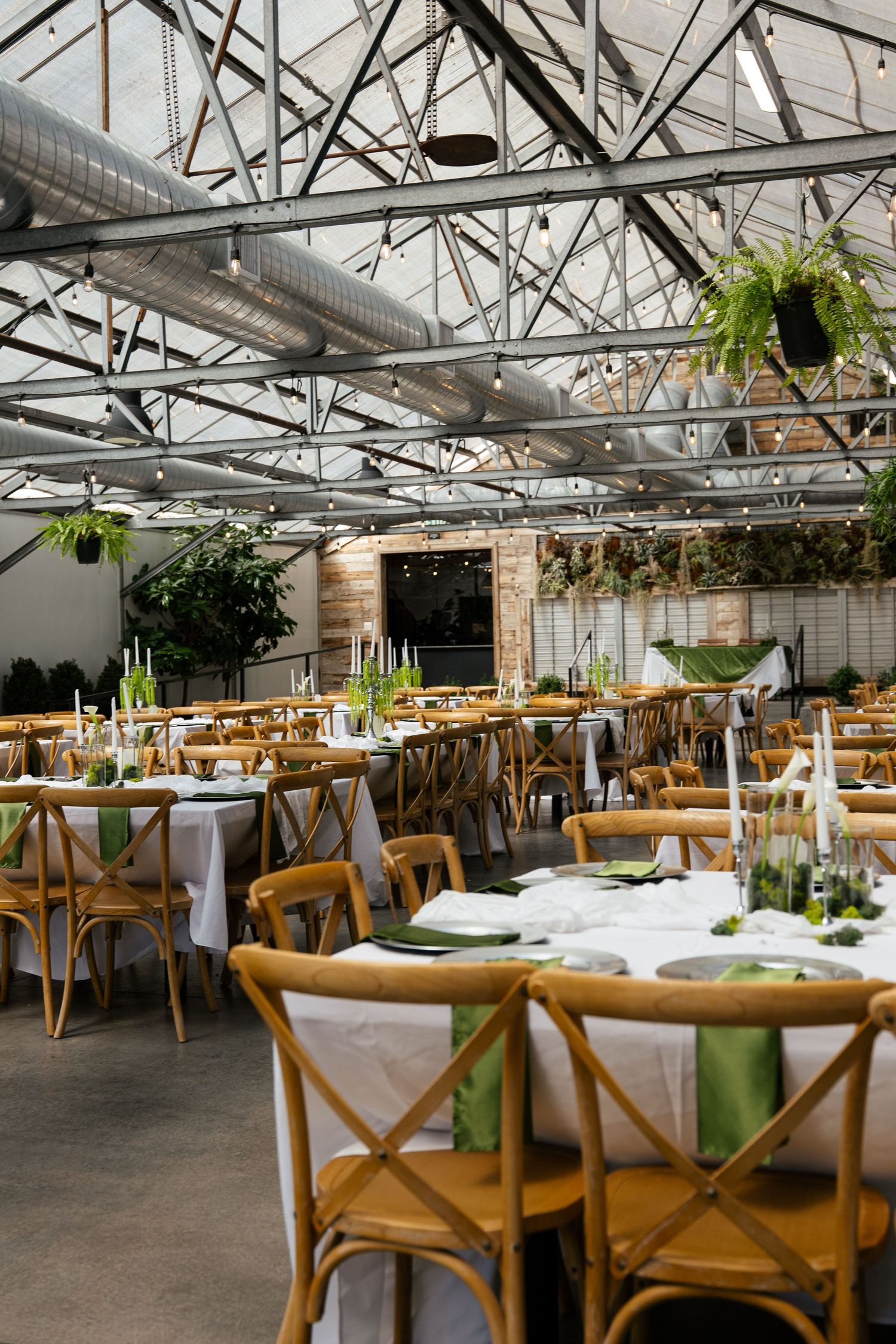 Elegant greenhouse wedding reception with wooden cross-back chairs, white tablecloths, and lush green botanical decor.